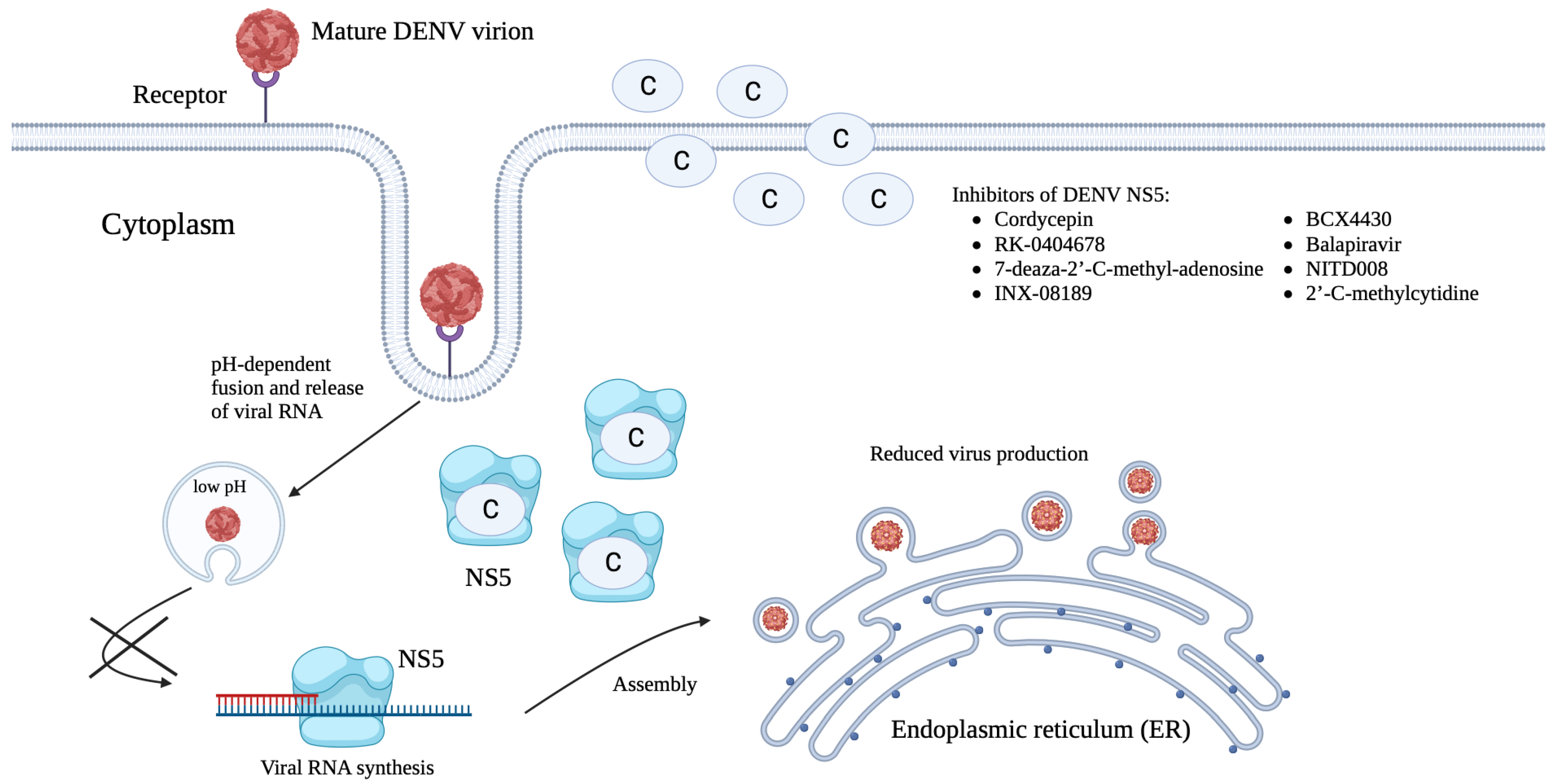 Viruses 15 00705 g004 Viruses 15 00705 g004