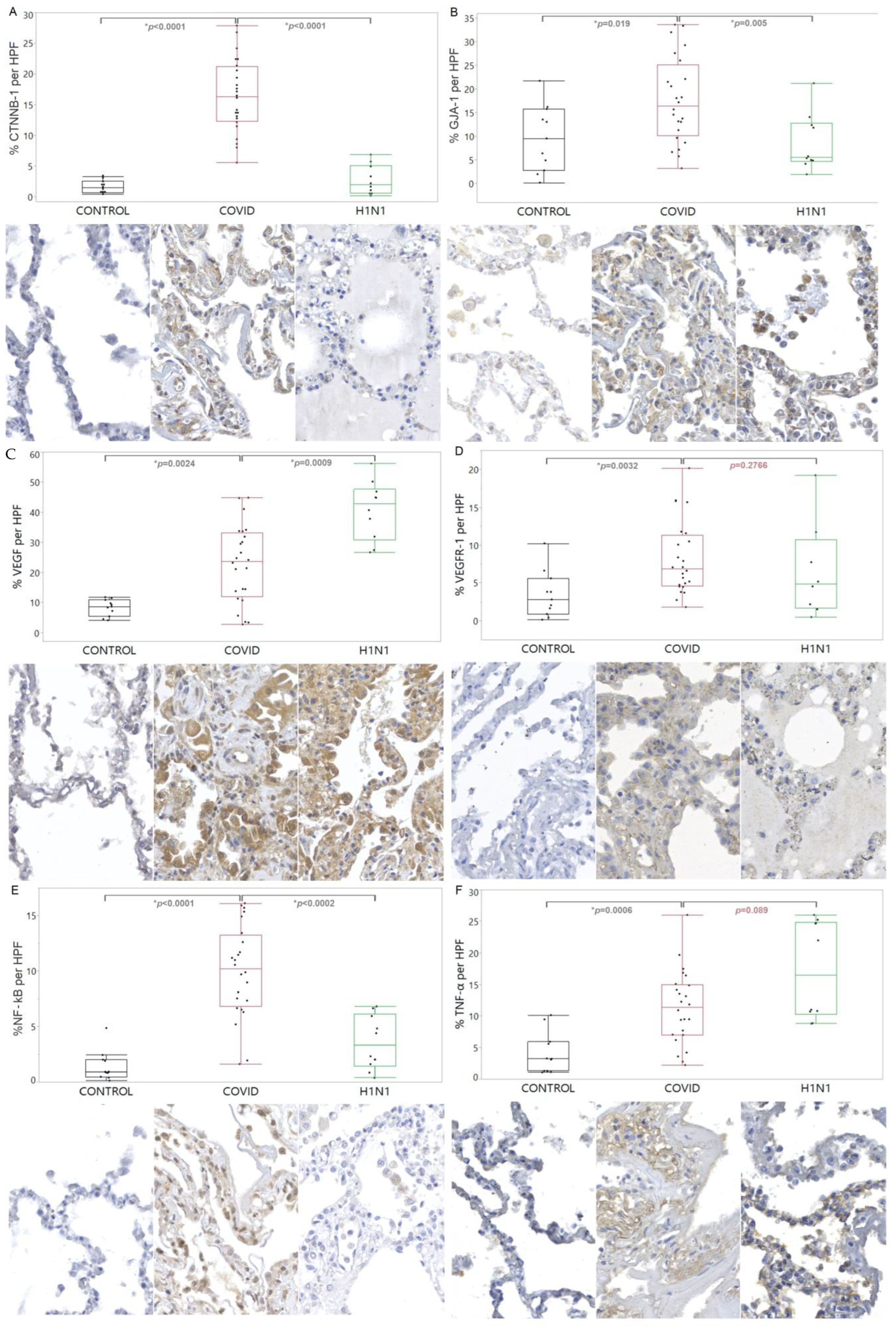 Viruses 15 00706 g003