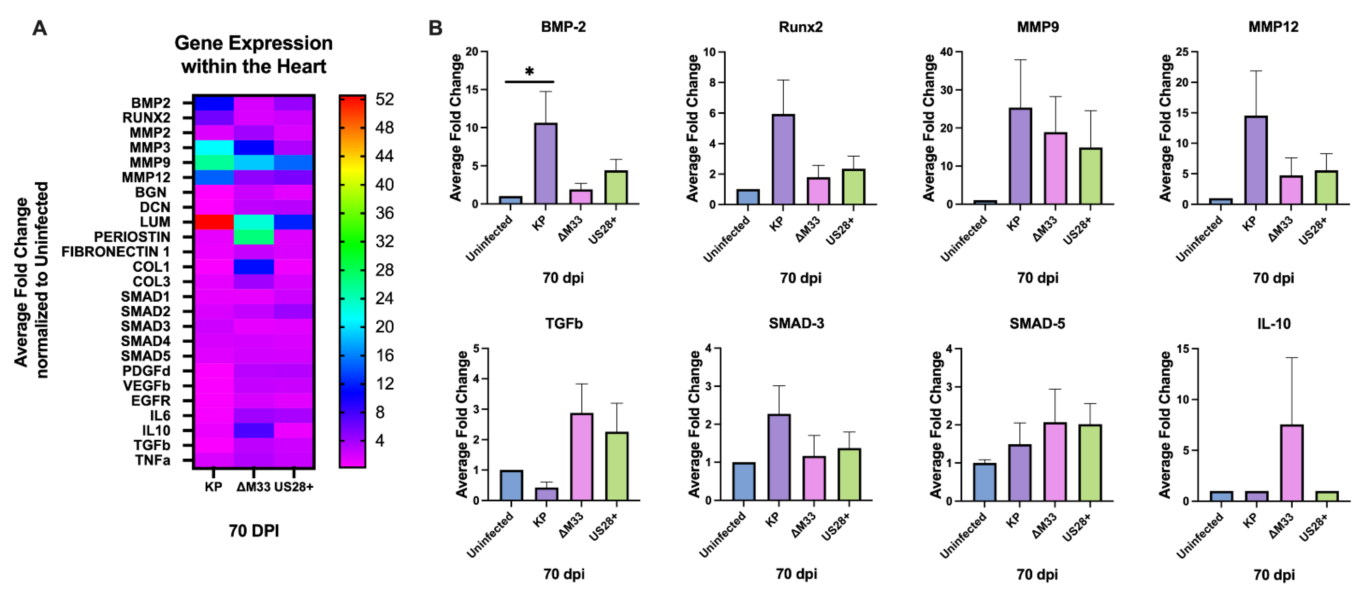 Viruses 15 00711 g007