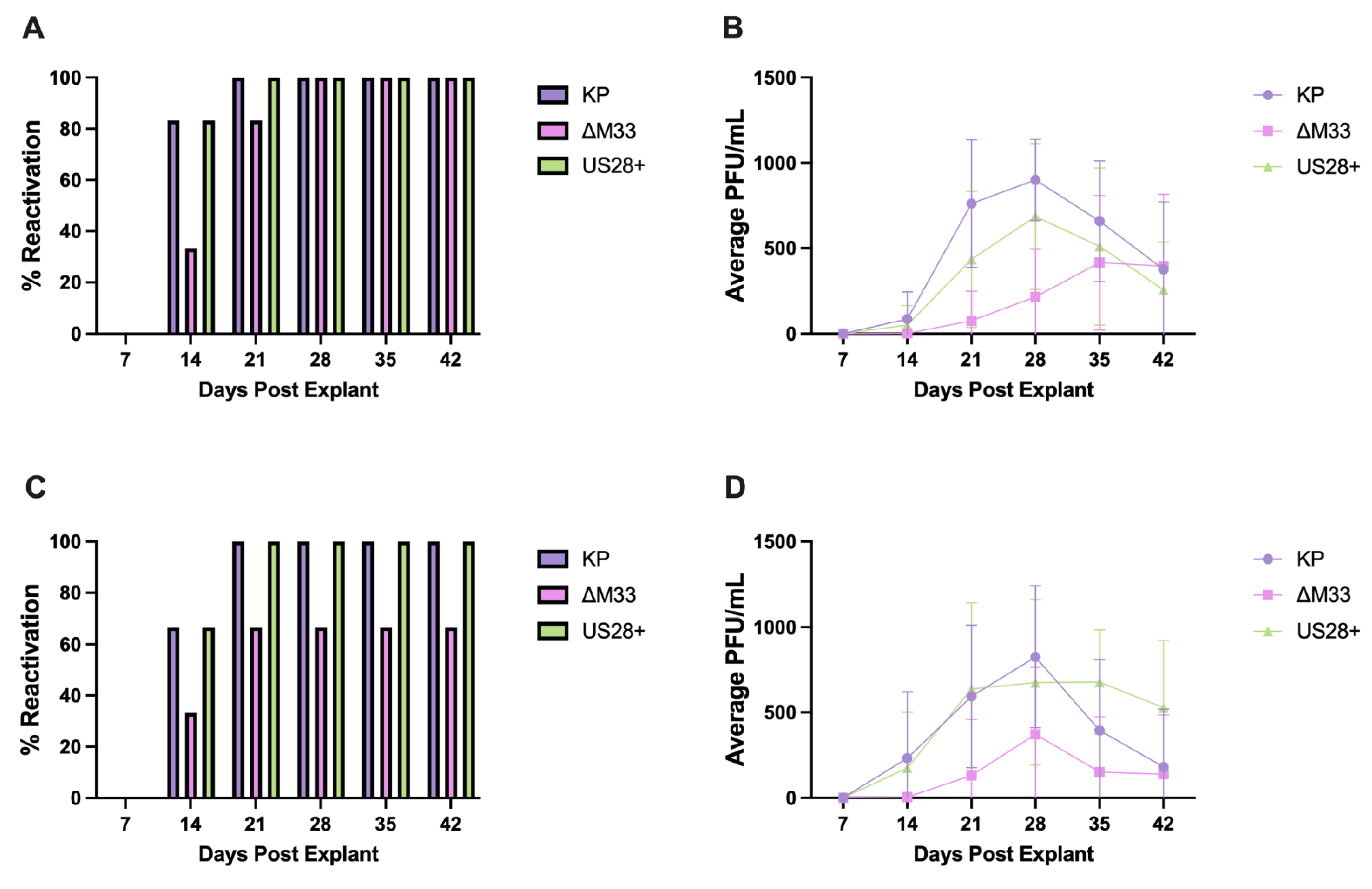 Viruses 15 00711 g008