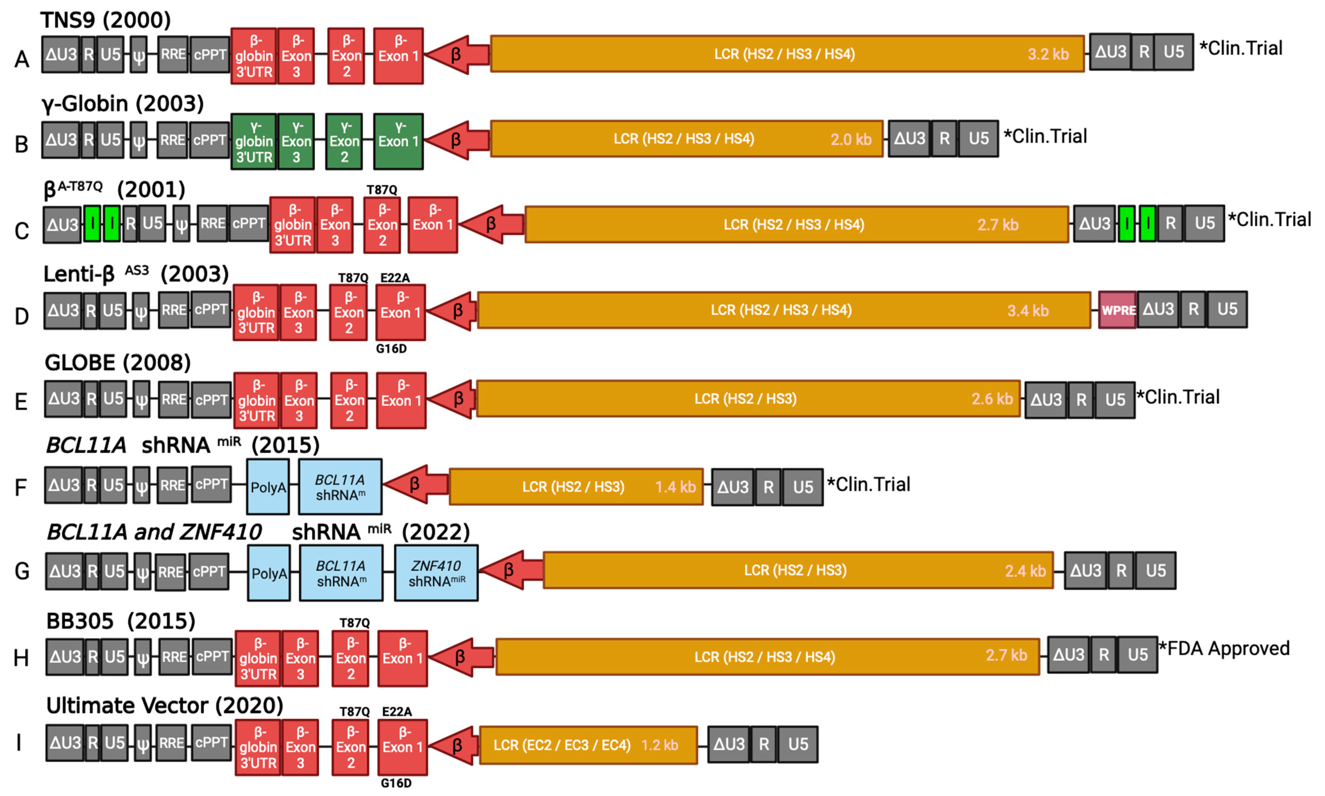 Viruses 15 00713 g003