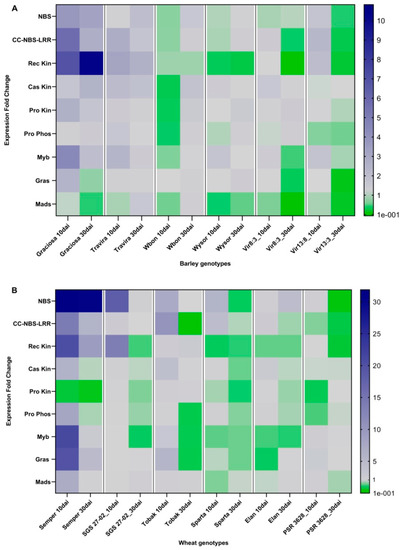 Identifying Putative Resistance Genes for Barley Yellow