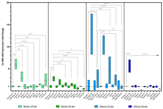 ai様 viruses-15-00716-g001-550.jpg?