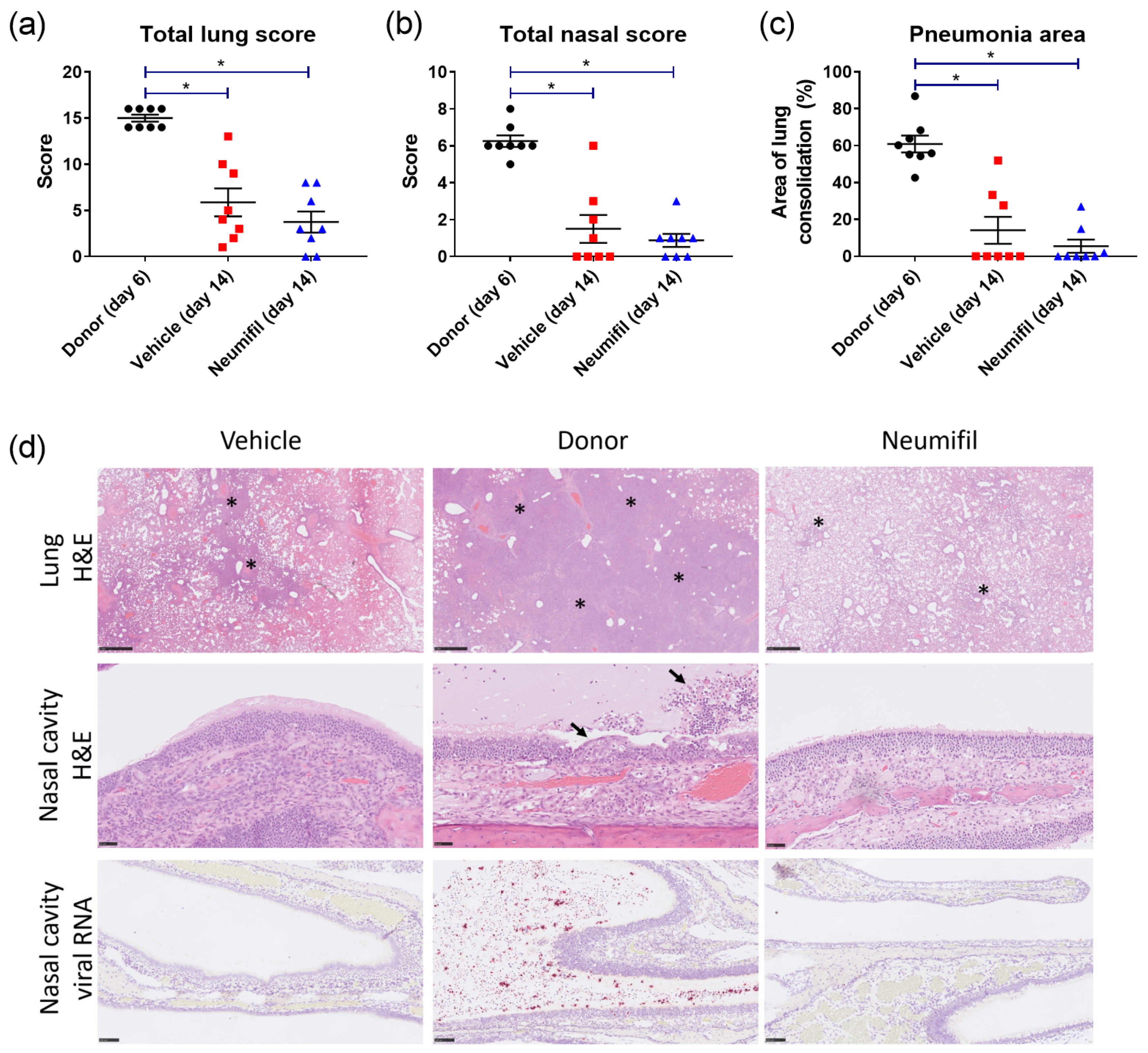 Viruses 15 00725 g004 Viruses 15 00725 g004