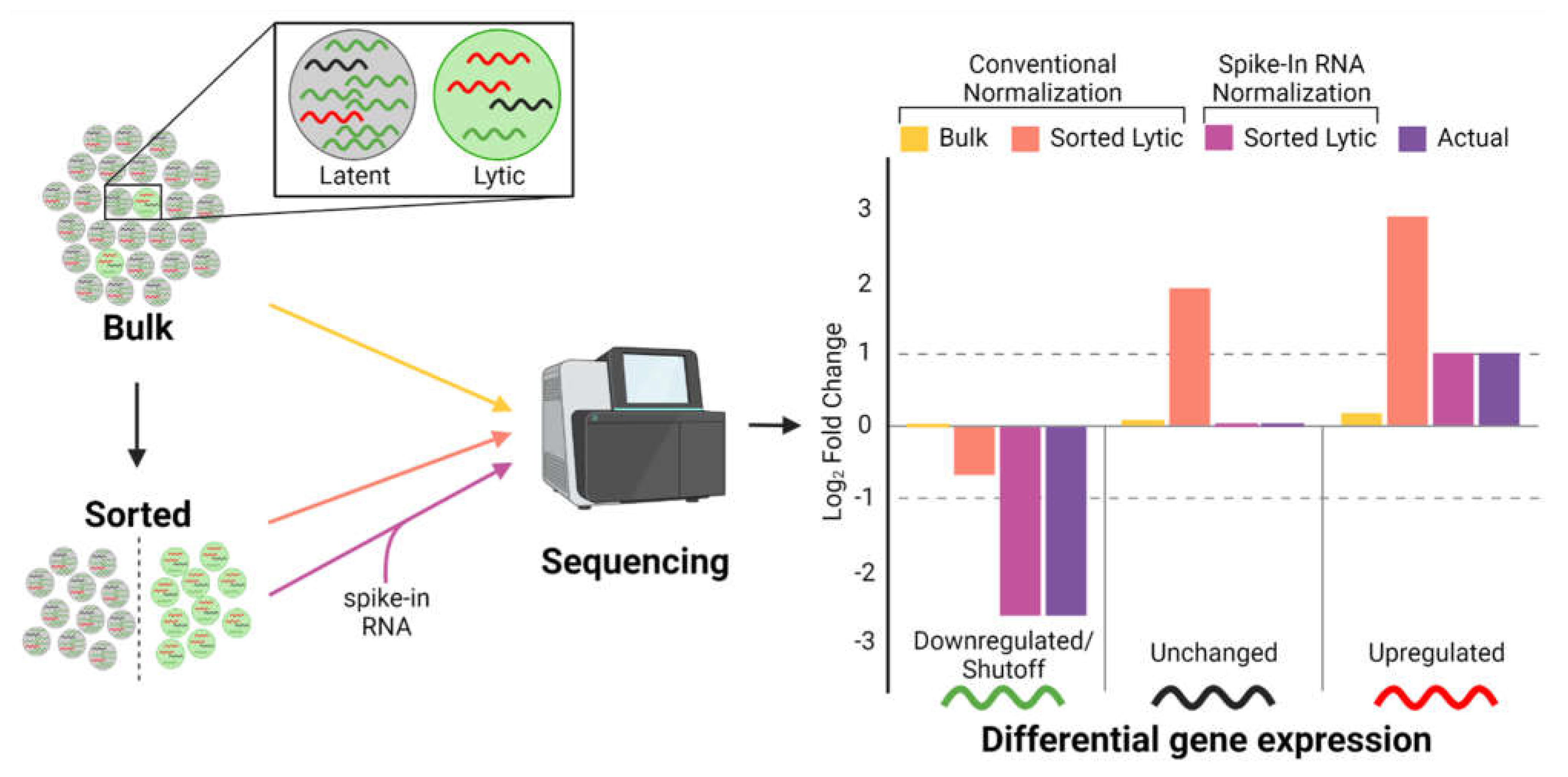 Viruses 15 00726 g002