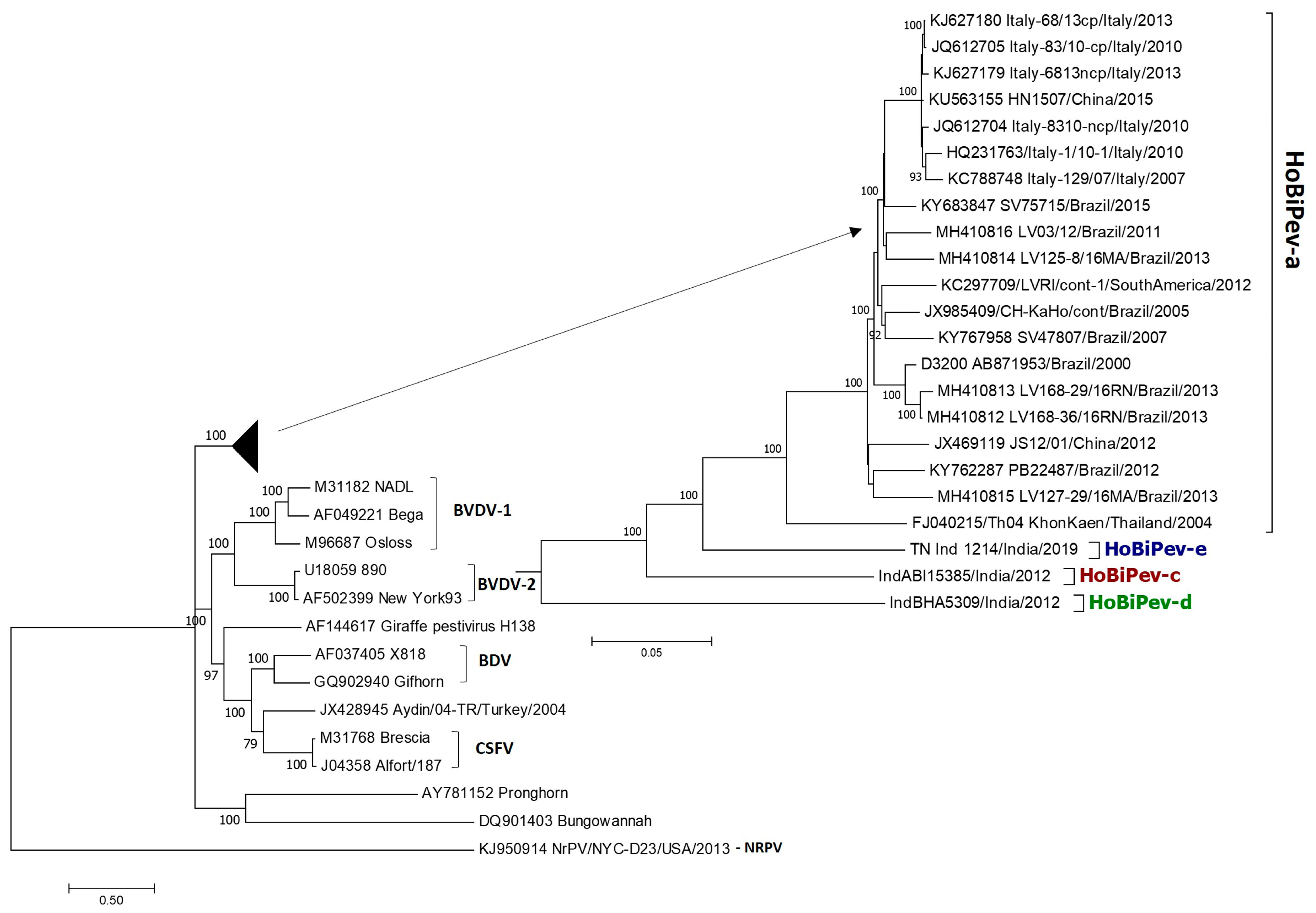 Viruses 15 00733 g001