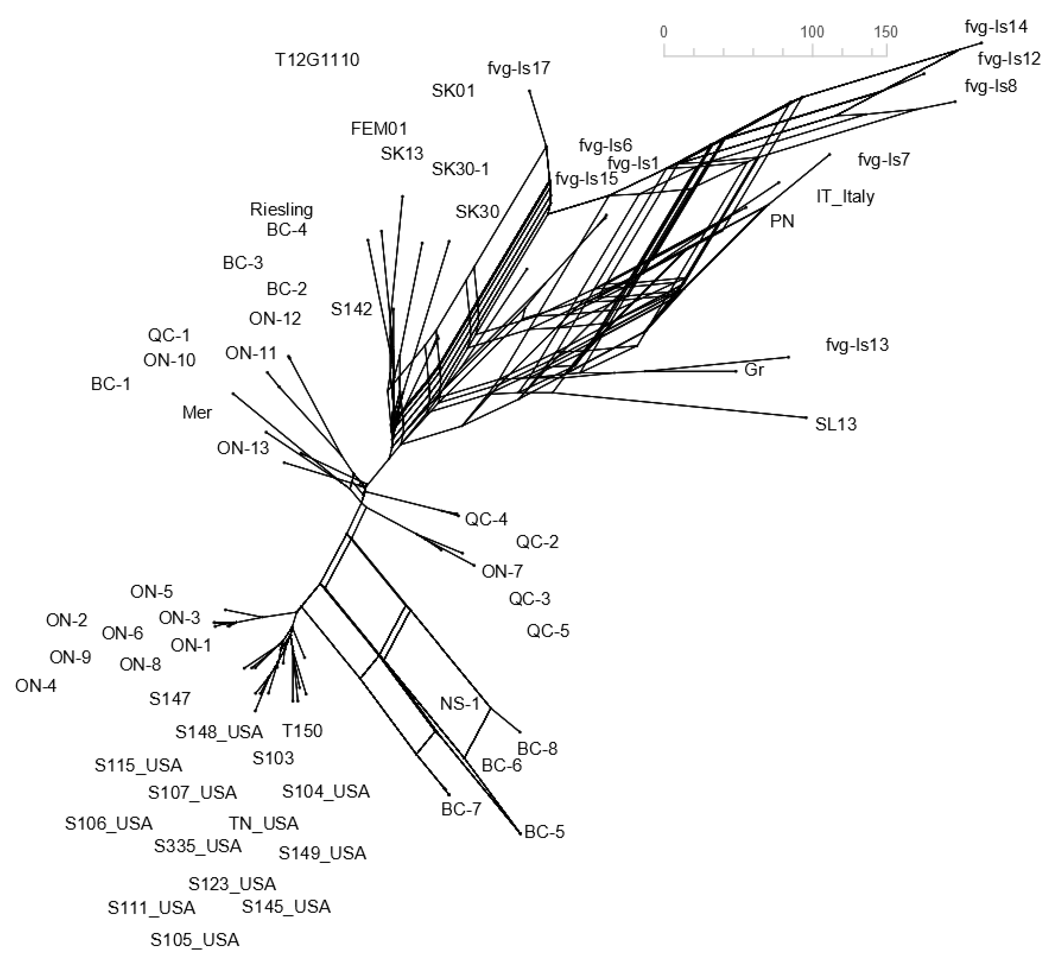Viruses 15 00735 g002