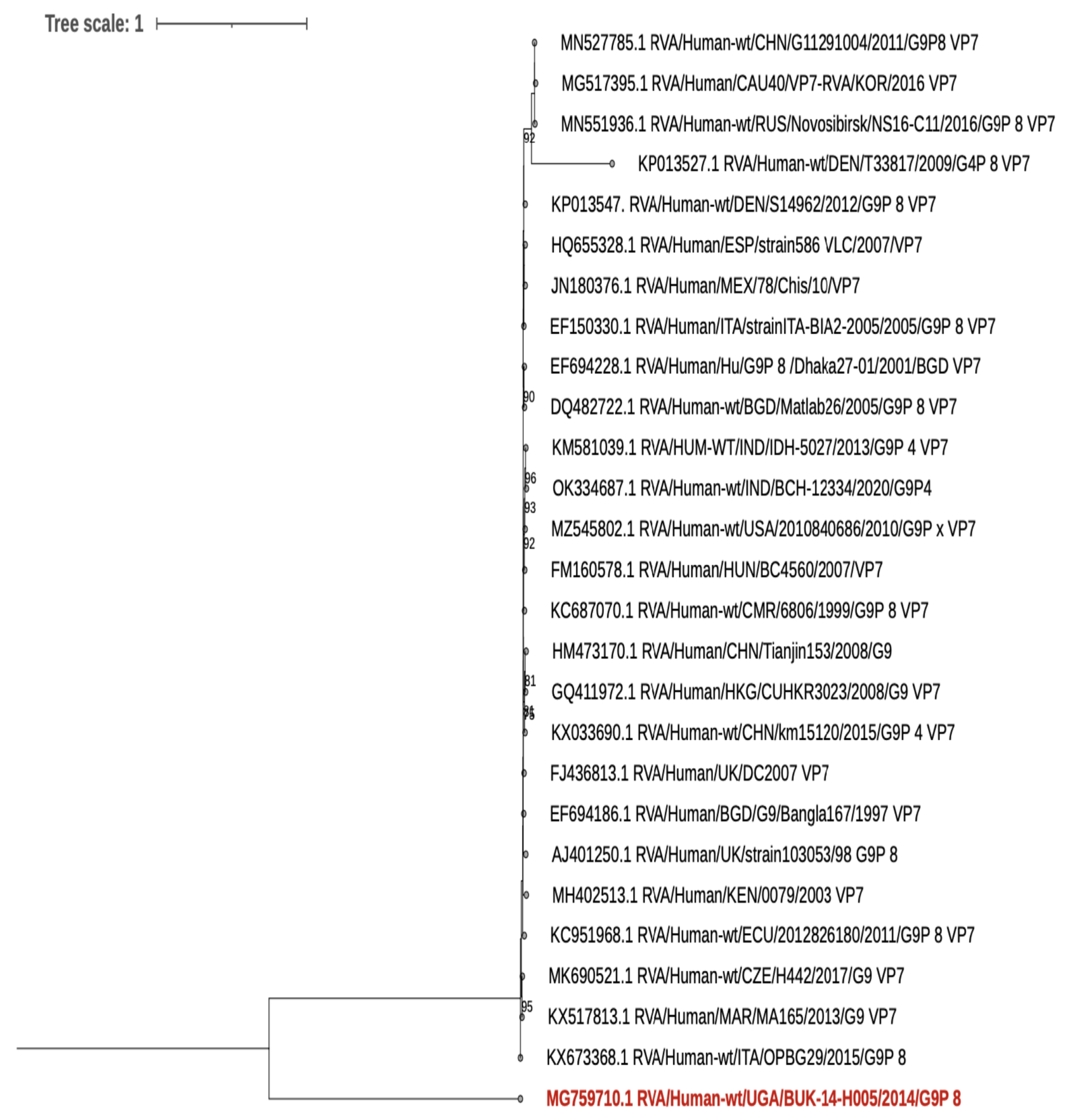 Viruses 15 00738 g001 Viruses 15 00738 g001
