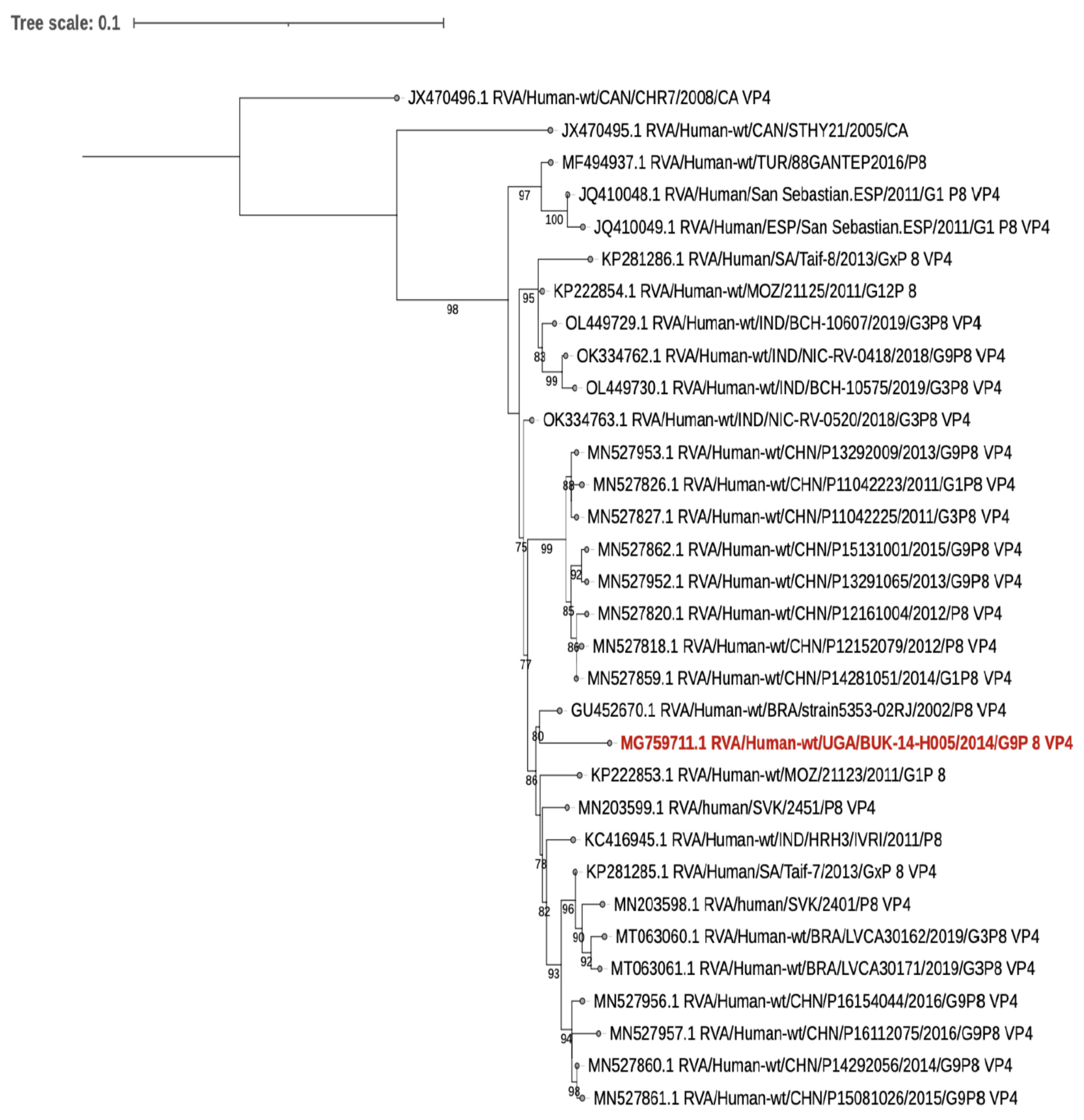 Viruses 15 00738 g002 Viruses 15 00738 g002