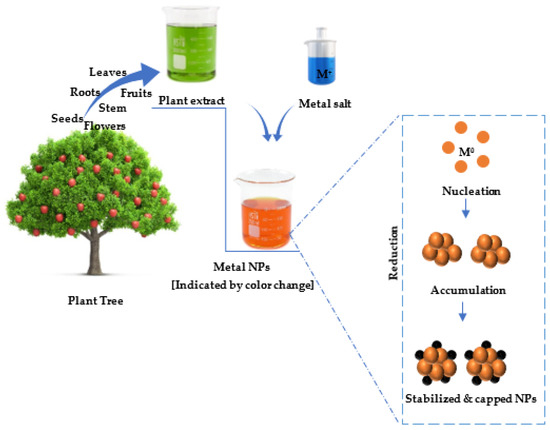 pbm ヒーリング Current Trends and Prospects for Application of Green