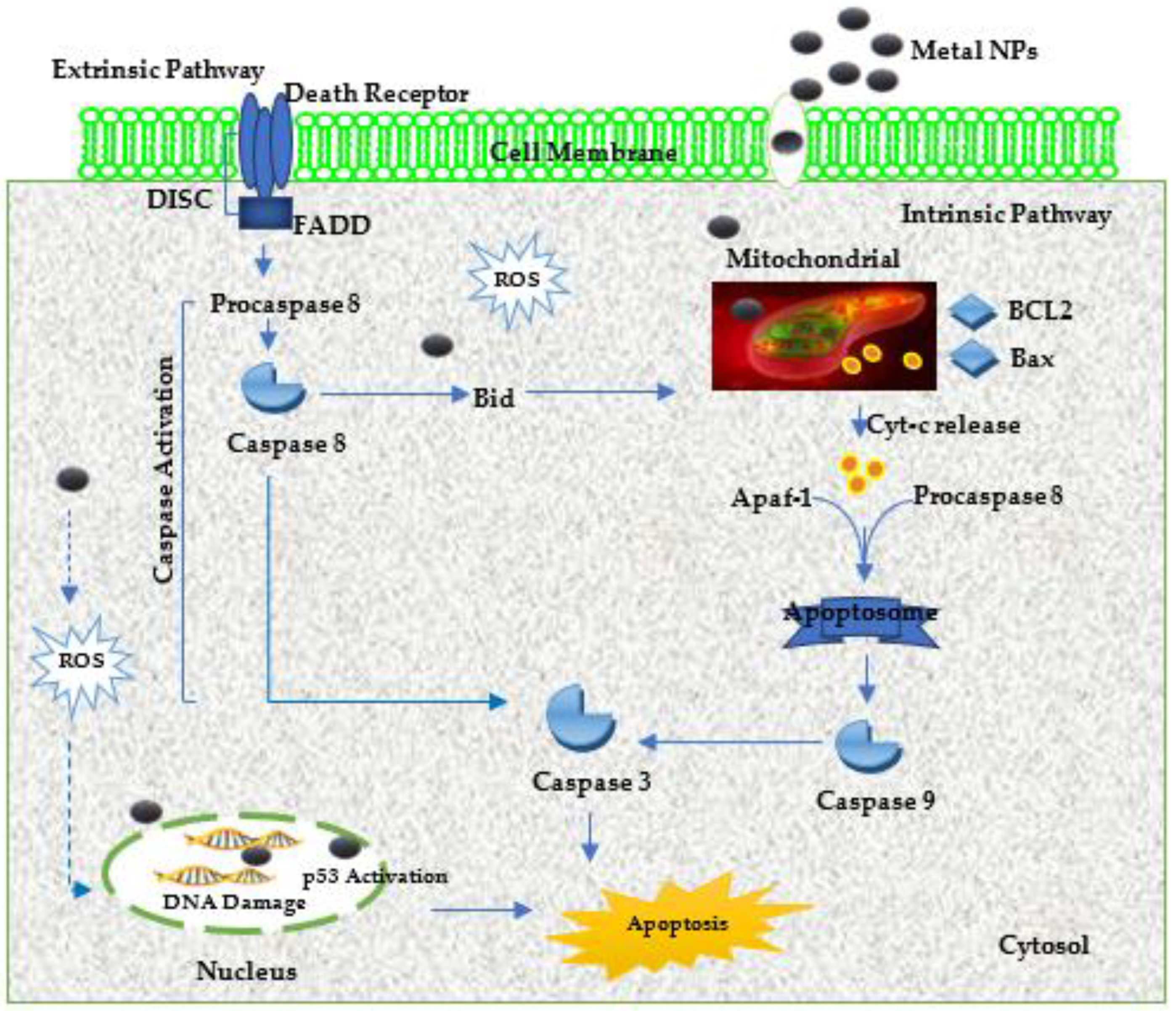 Viruses | Free Full-Text | Current Trends and Prospects for 