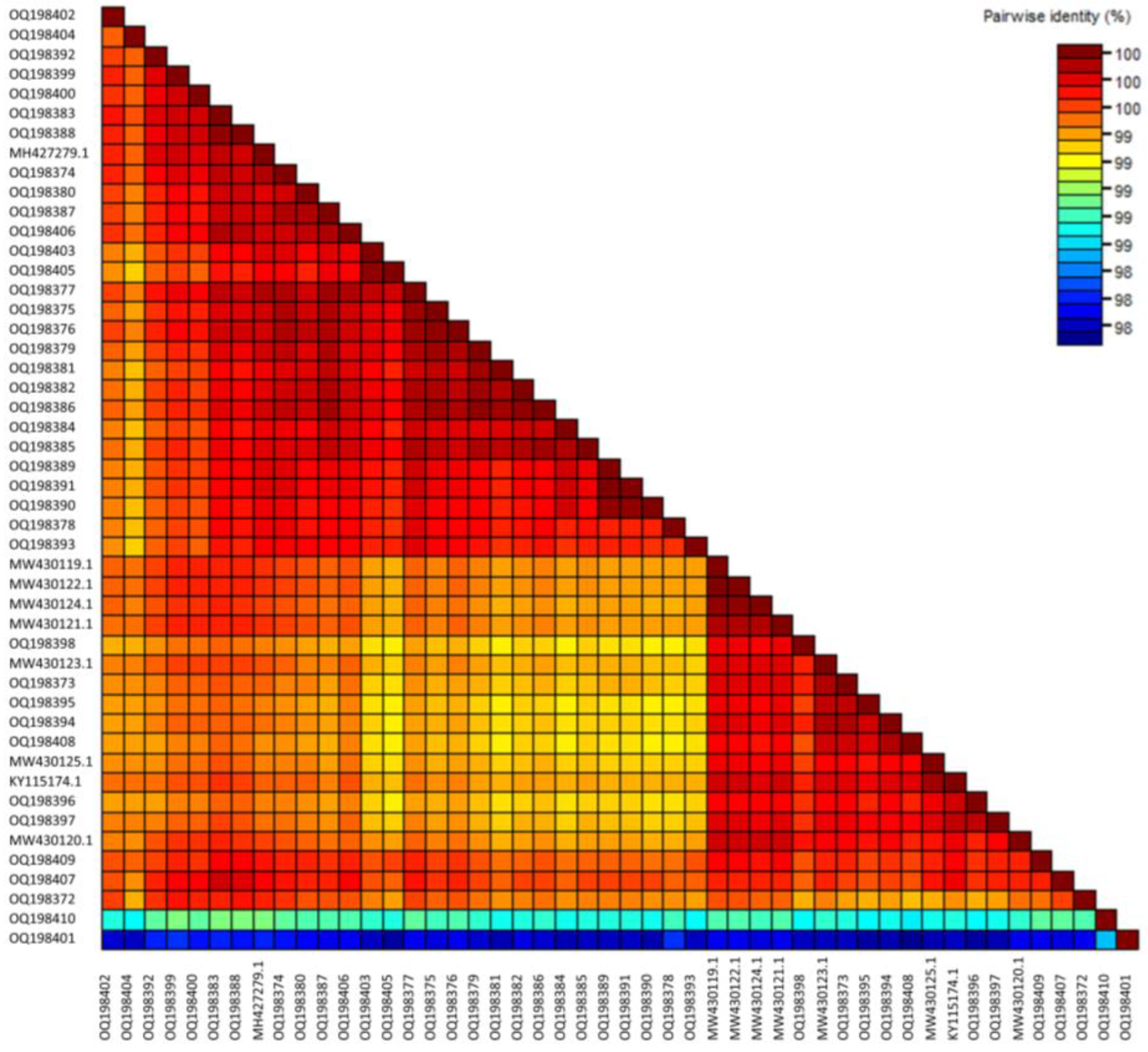 Viruses 15 00743 g001 Viruses 15 00743 g001