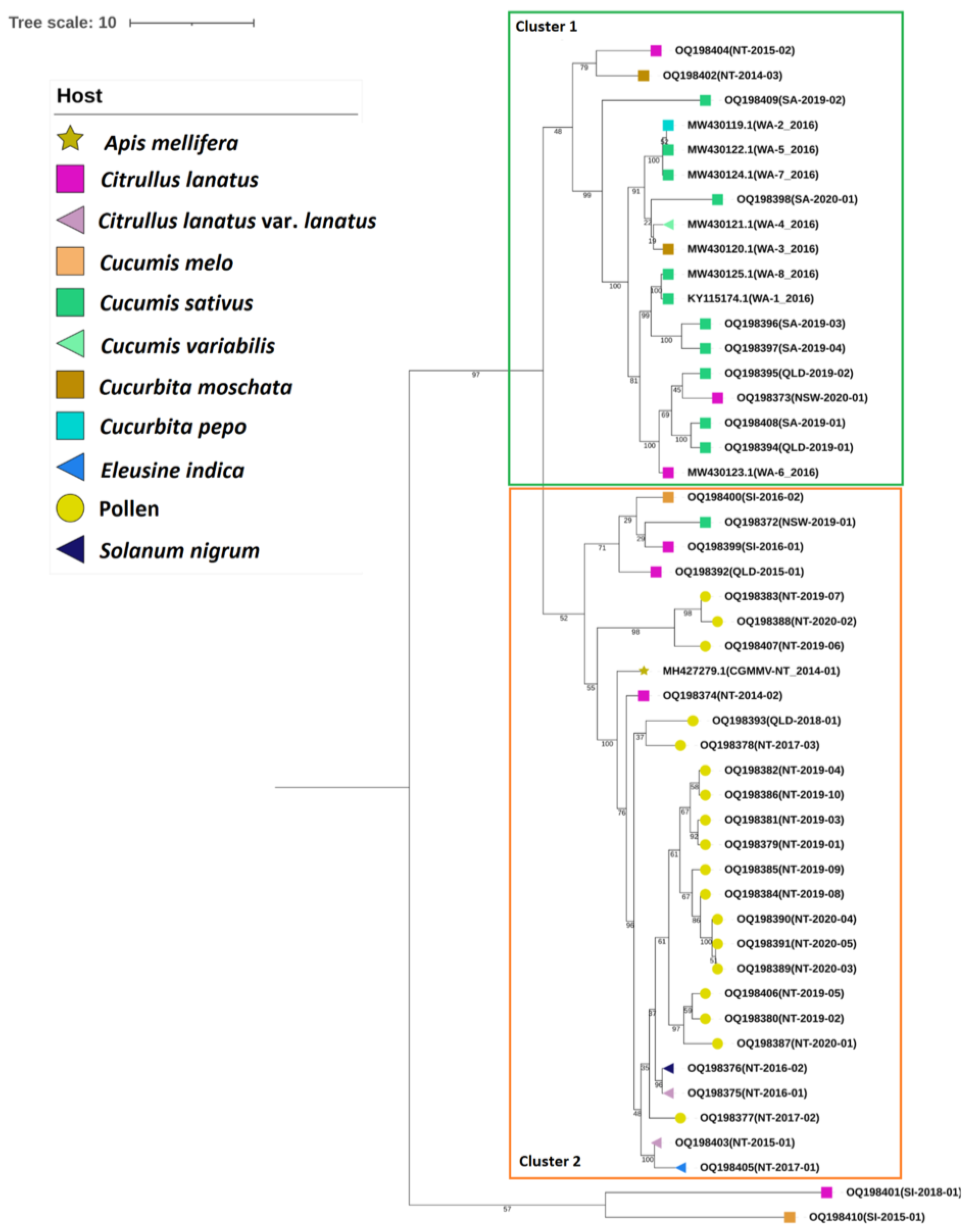 Viruses 15 00743 g004 Viruses 15 00743 g004