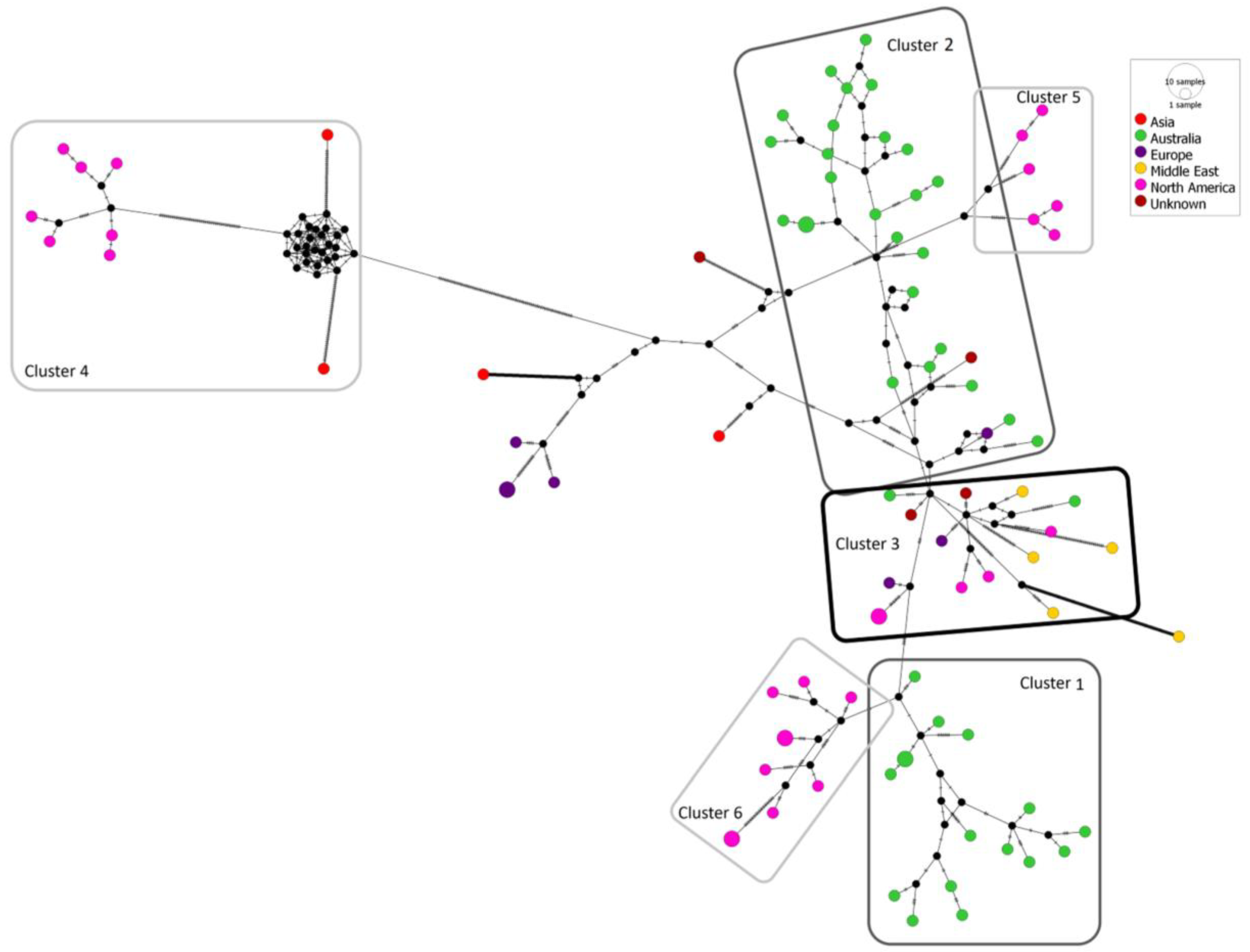 Viruses 15 00743 g005 Viruses 15 00743 g005