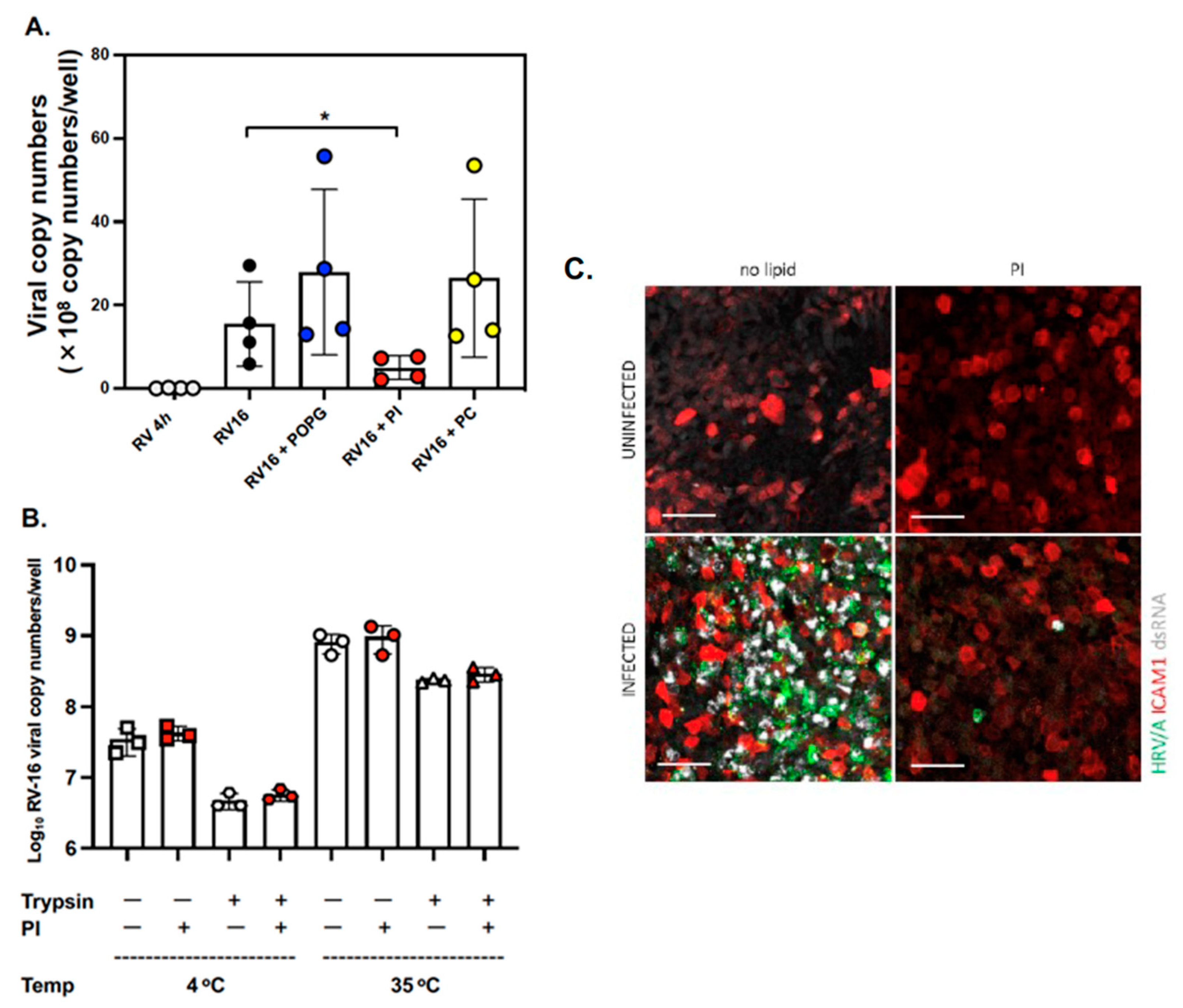 Viruses 15 00747 g001 Viruses 15 00747 g001