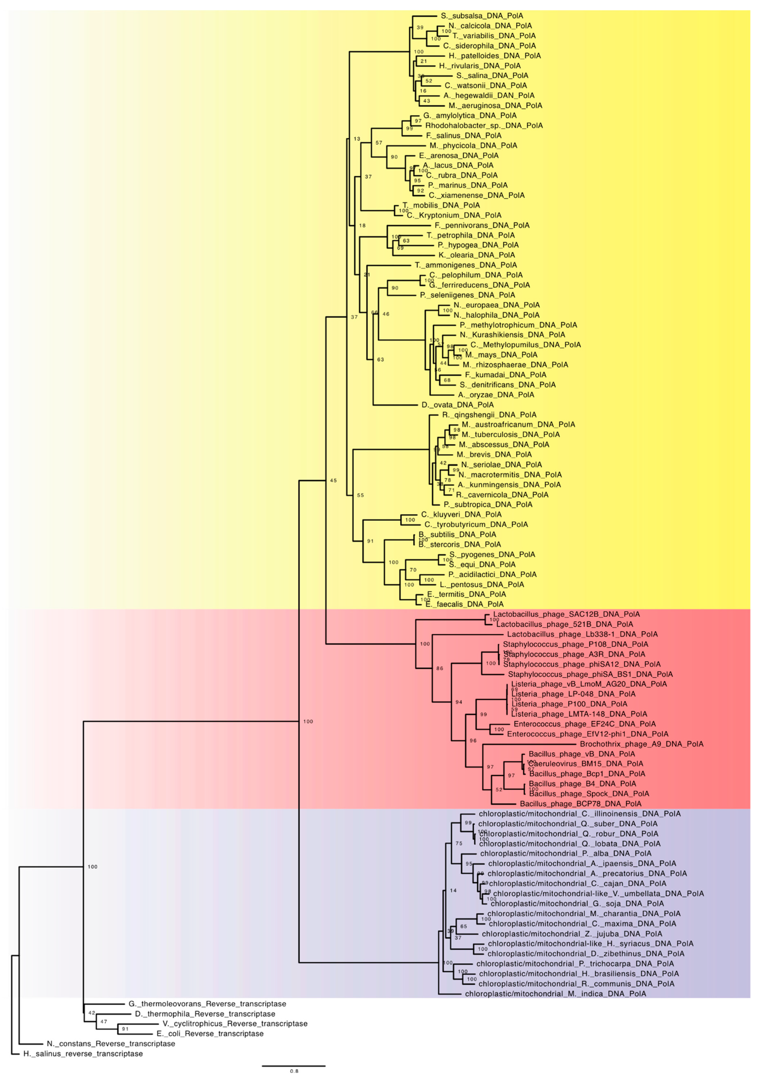 Viruses 15 00749 g001