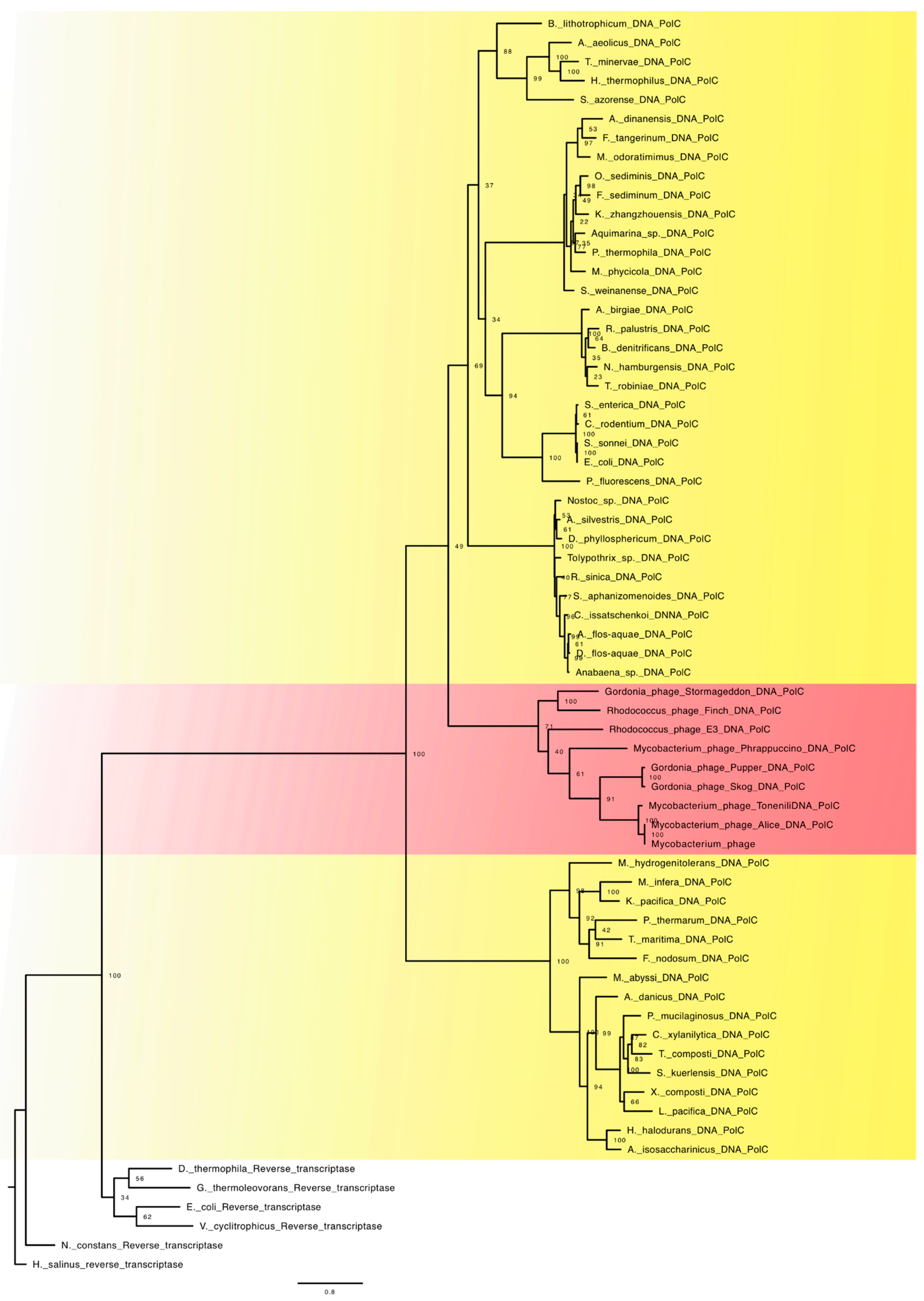 Viruses 15 00749 g002