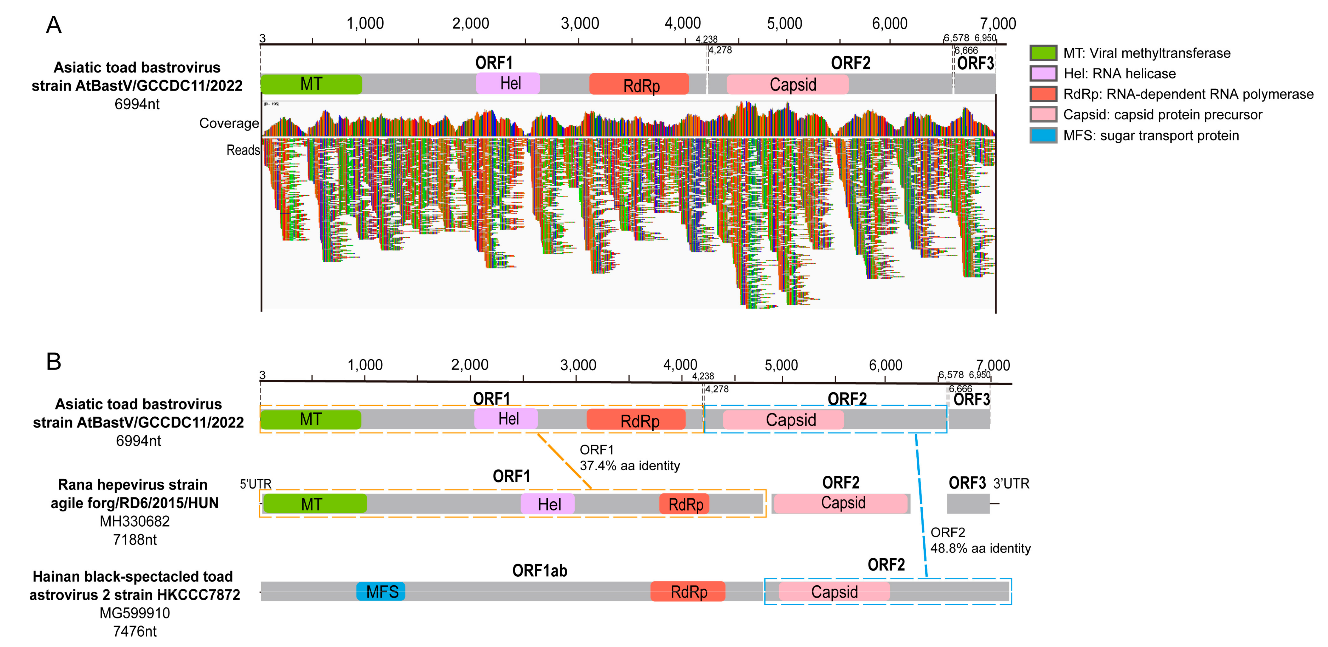Viruses 15 00750 g002 Viruses 15 00750 g002