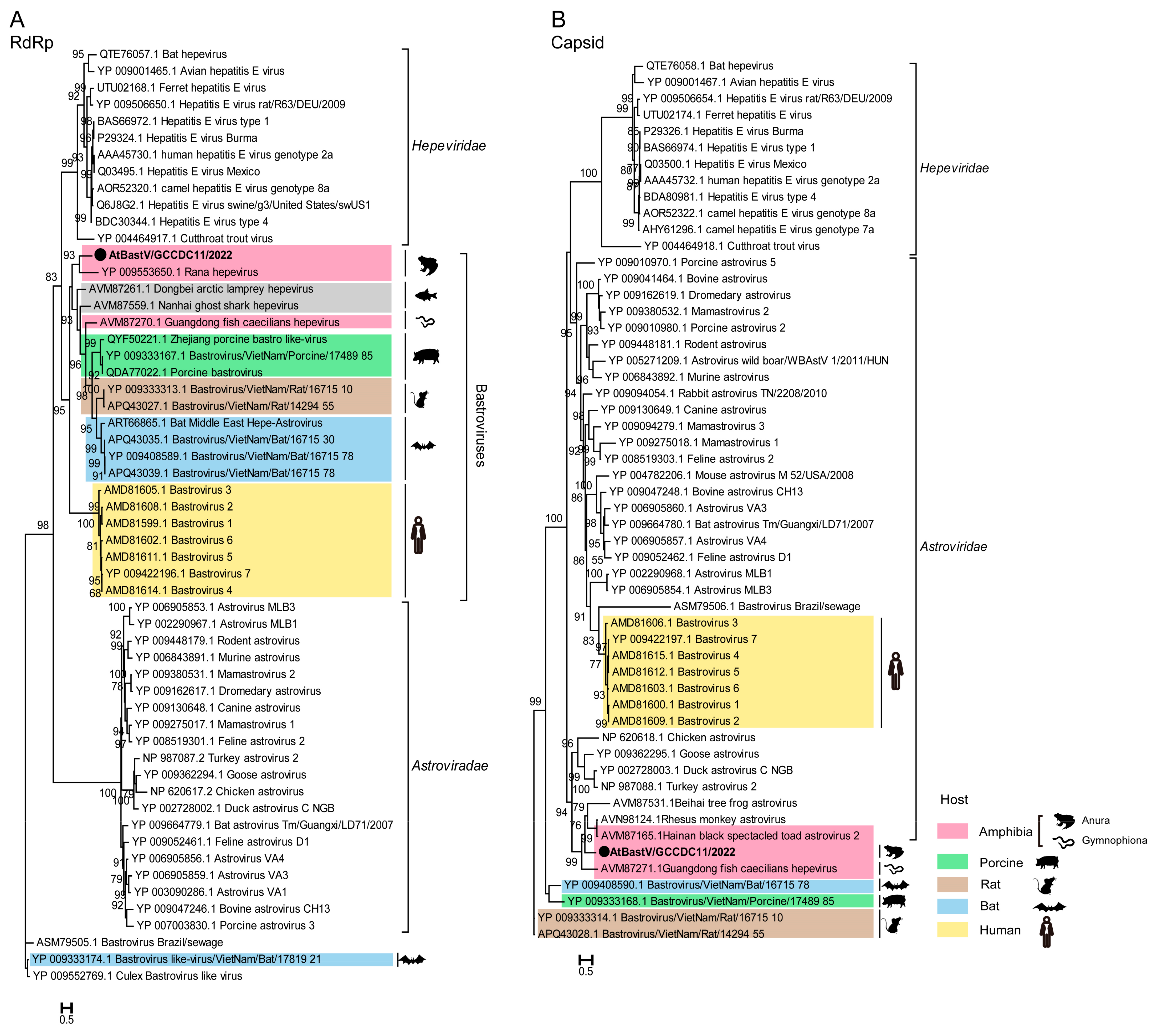 Viruses 15 00750 g003 Viruses 15 00750 g003