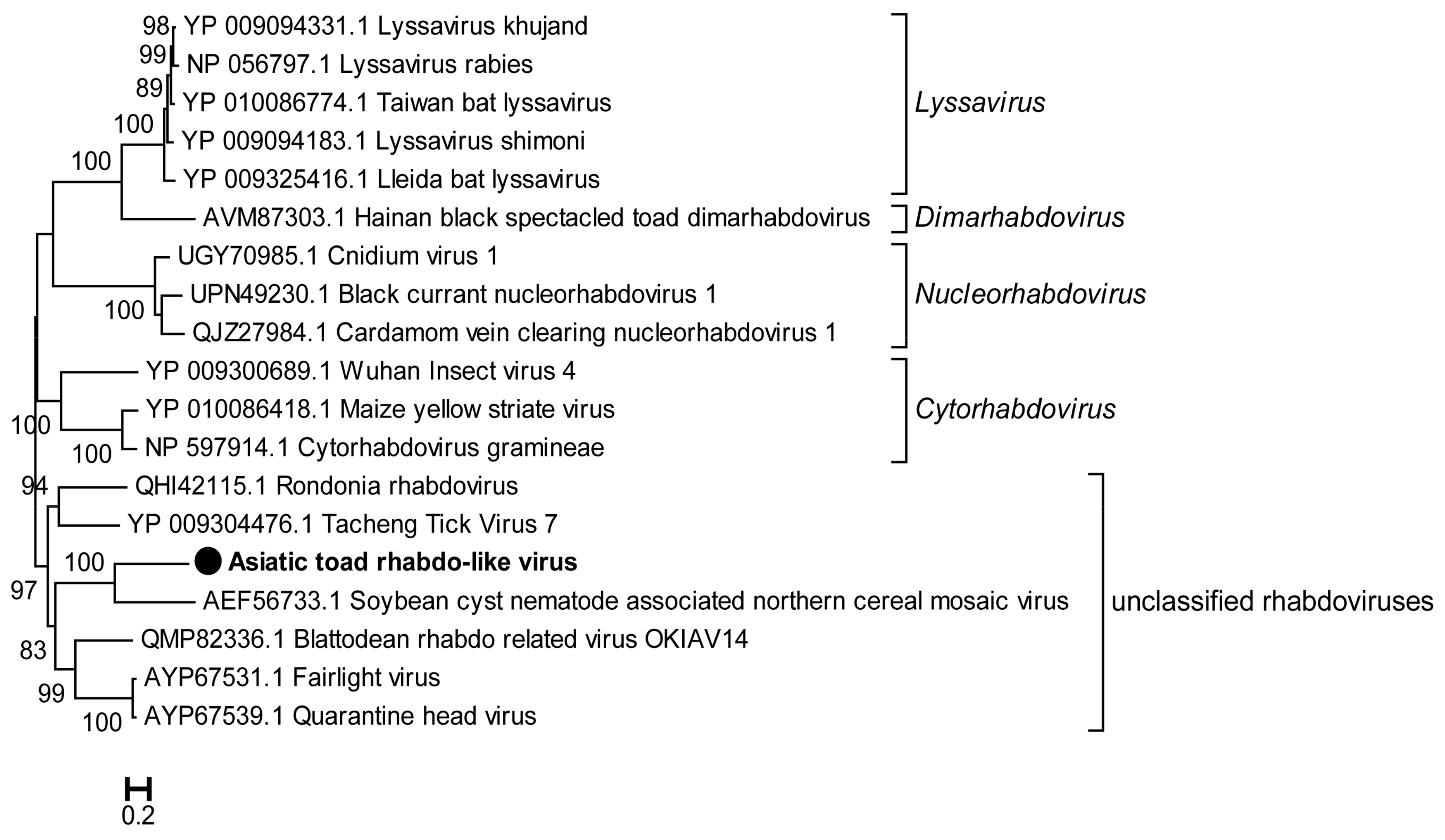 Viruses 15 00750 g005 Viruses 15 00750 g005