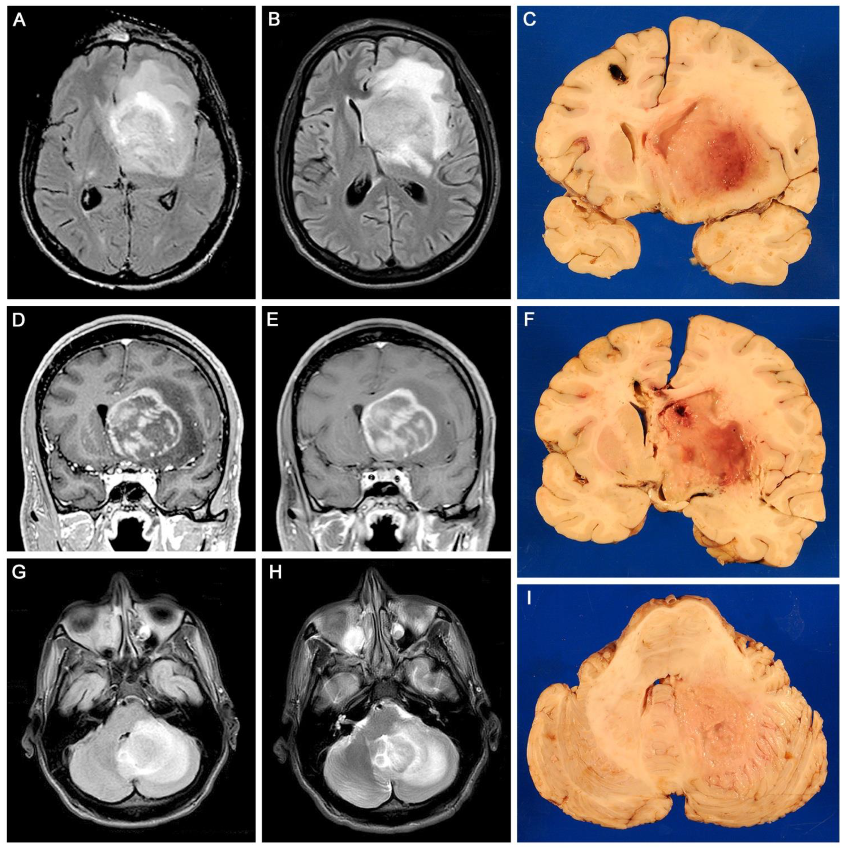 Viruses 15 00755 g001
