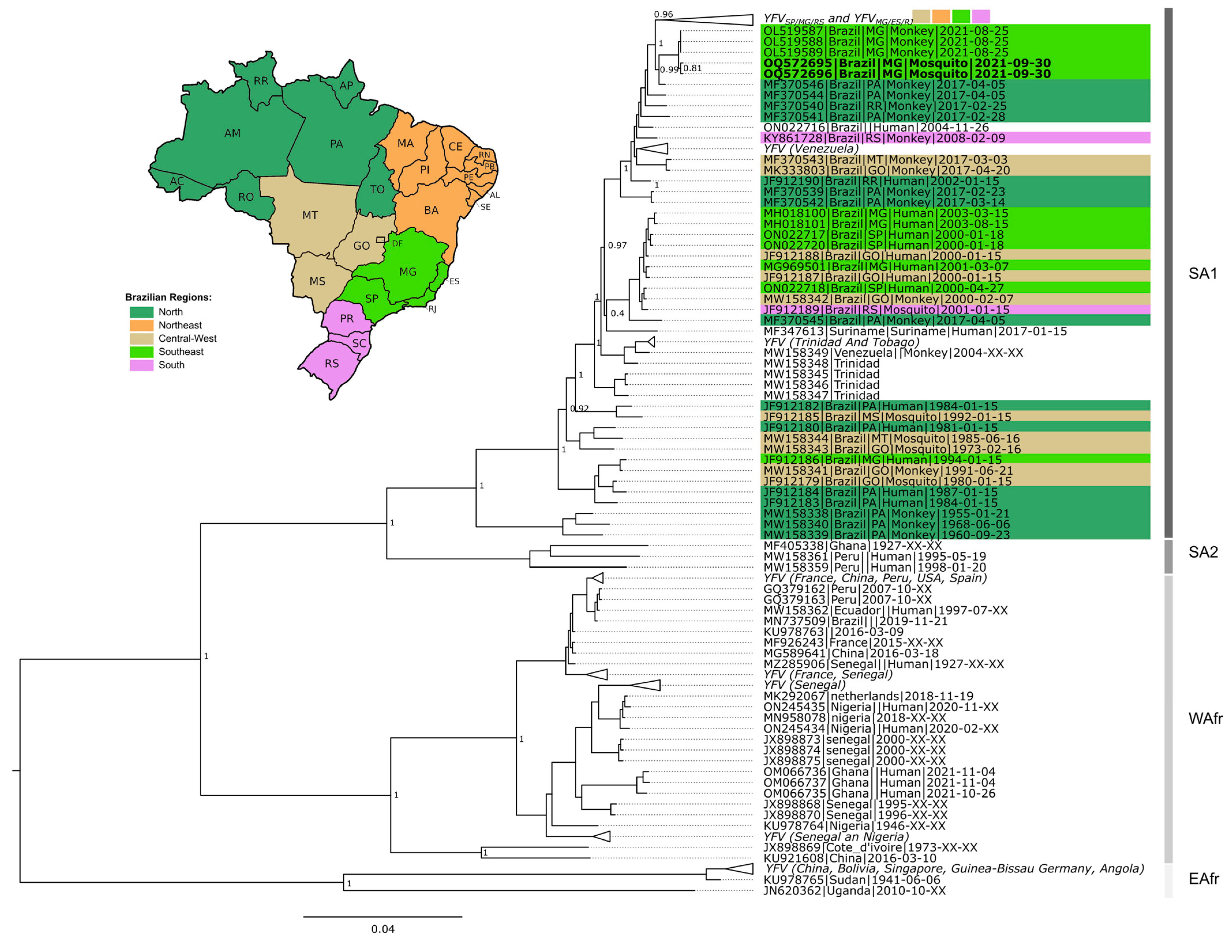 Viruses 15 00757 g003