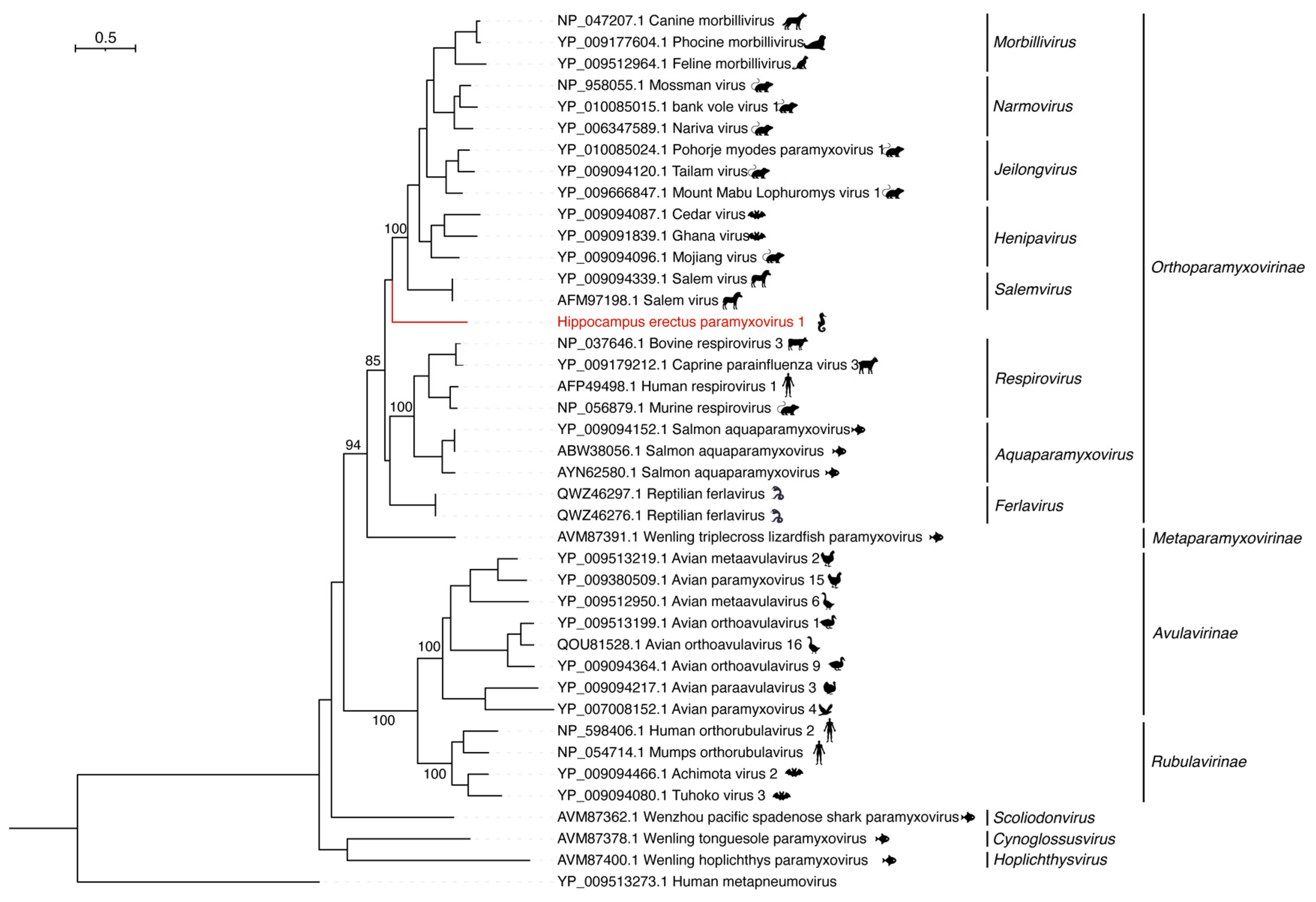 Viruses 15 00772 g003 Viruses 15 00772 g003