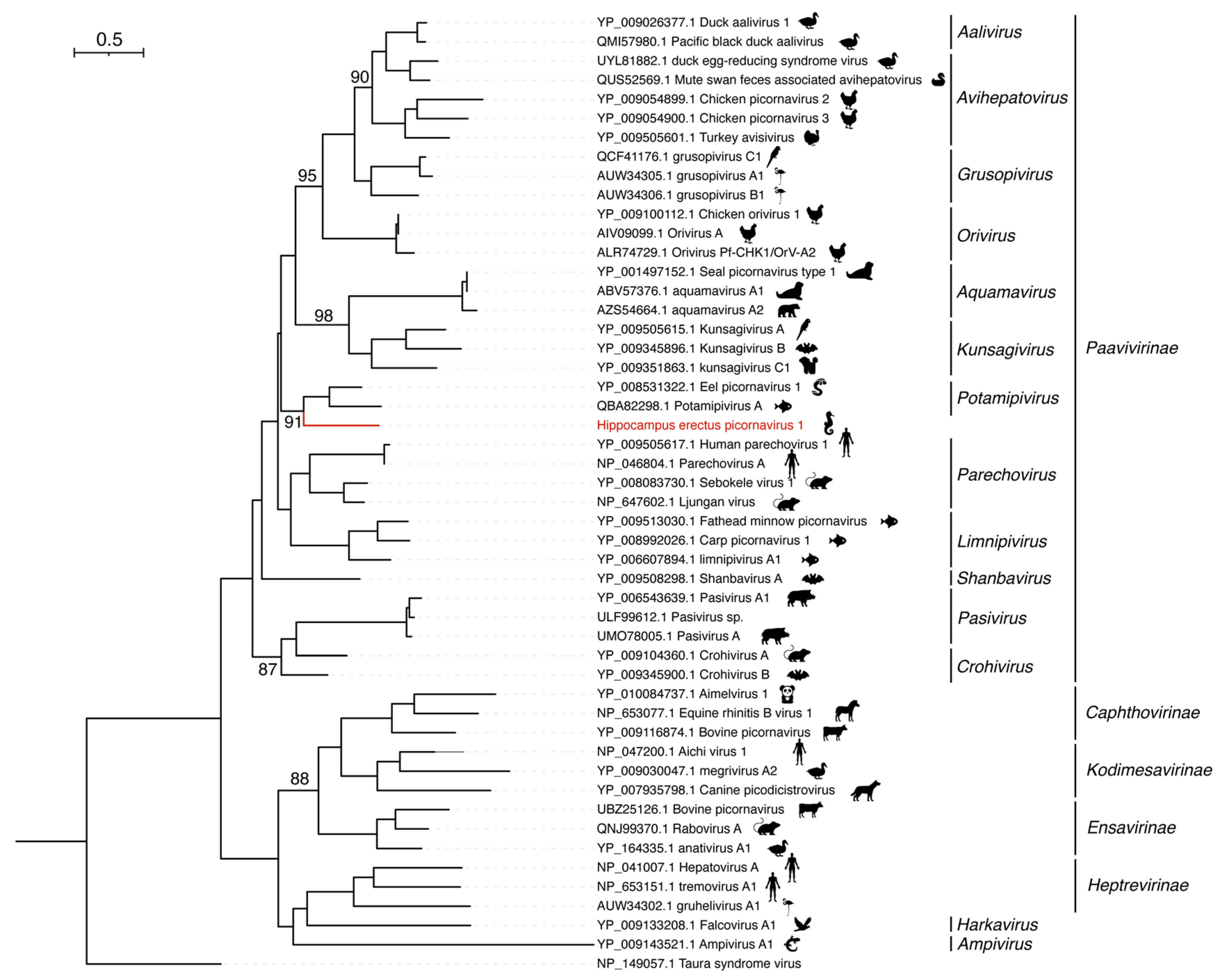 Viruses 15 00772 g004 Viruses 15 00772 g004
