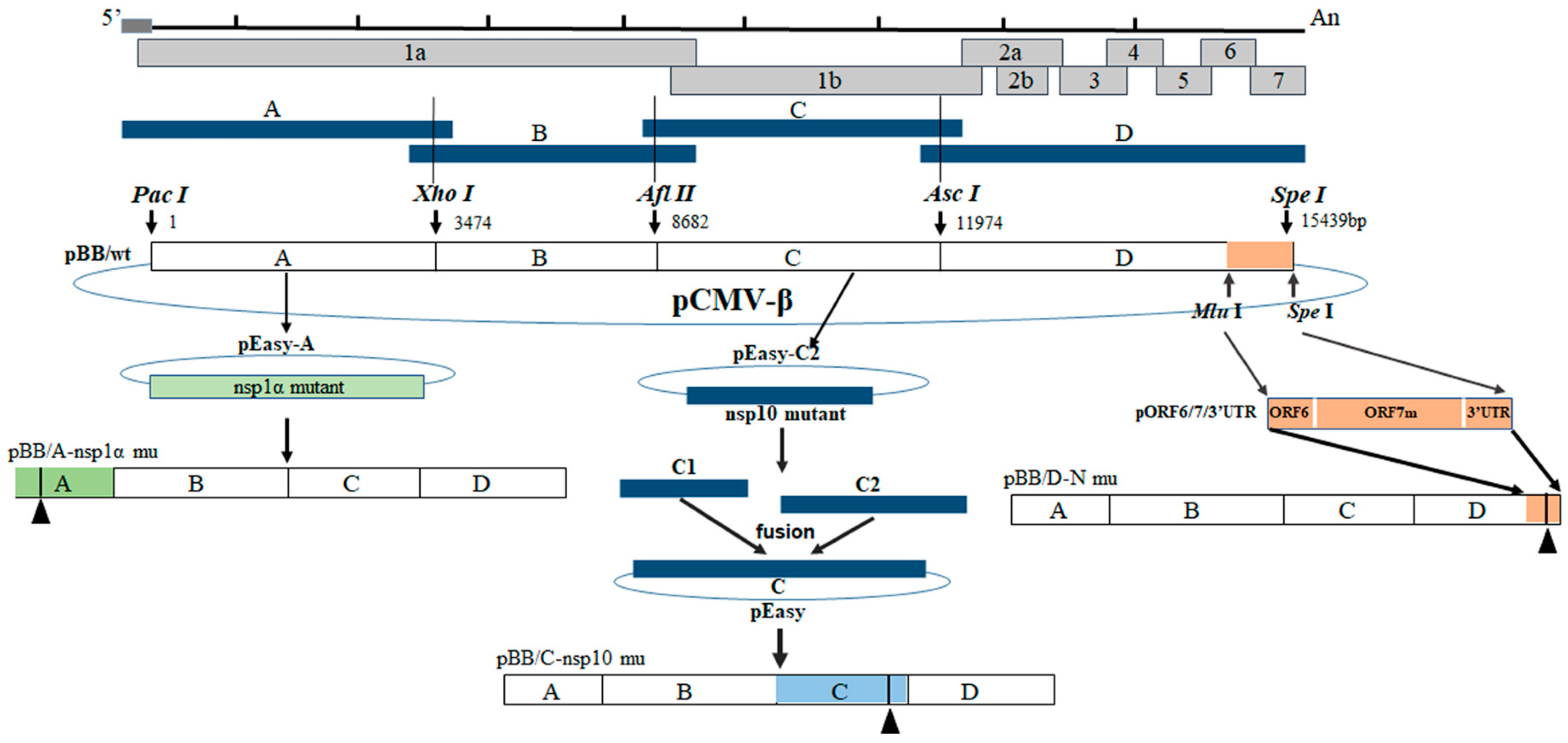 Viruses 15 00773 g001