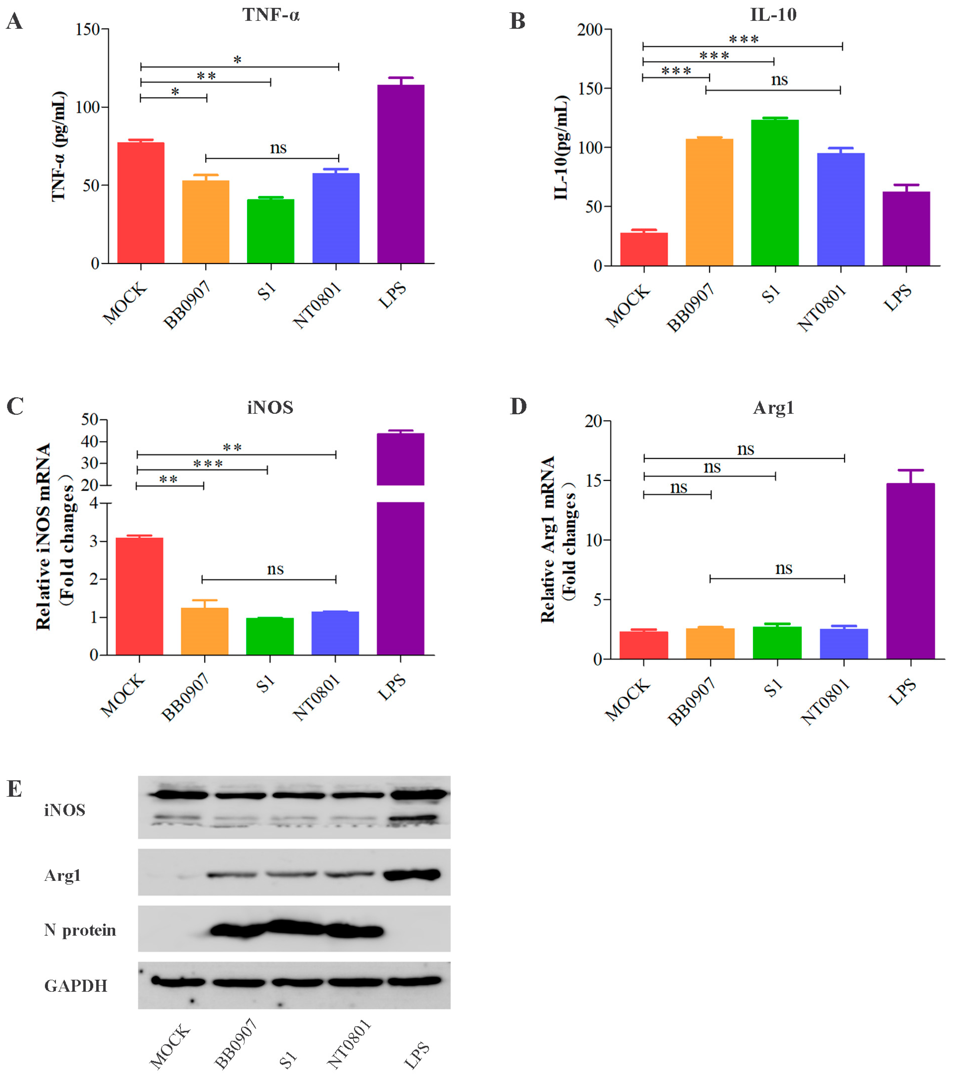 Viruses 15 00773 g002