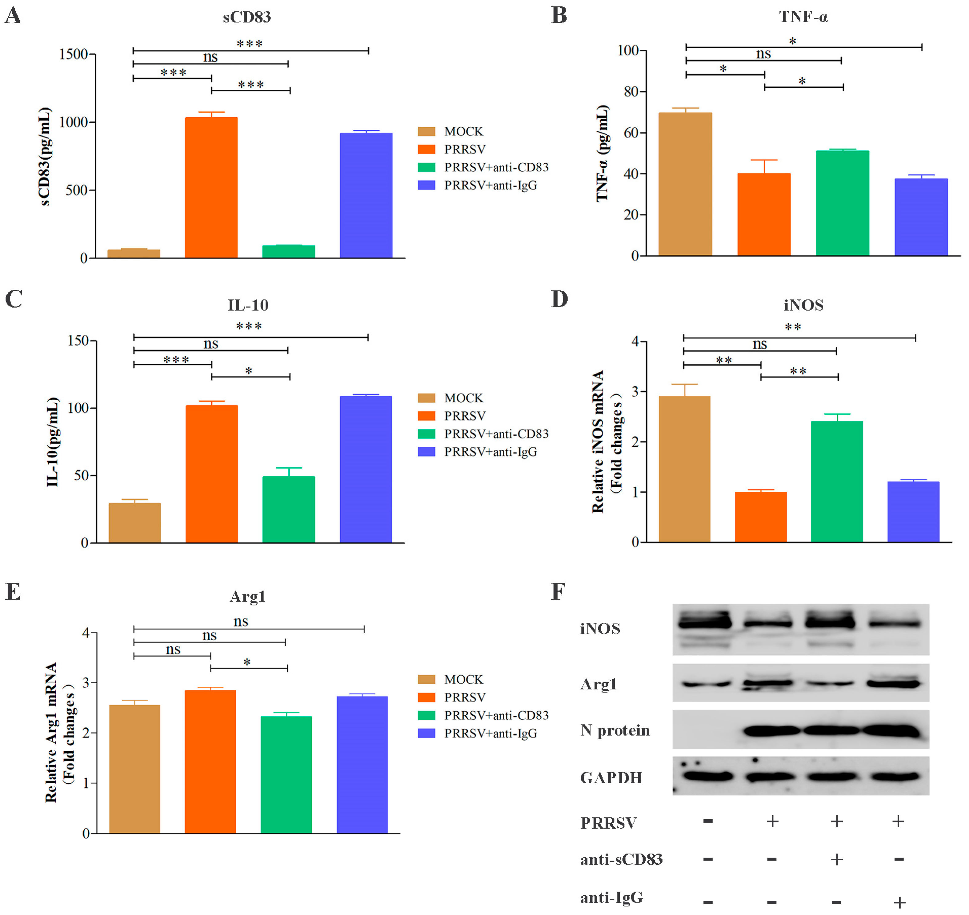 Viruses 15 00773 g005