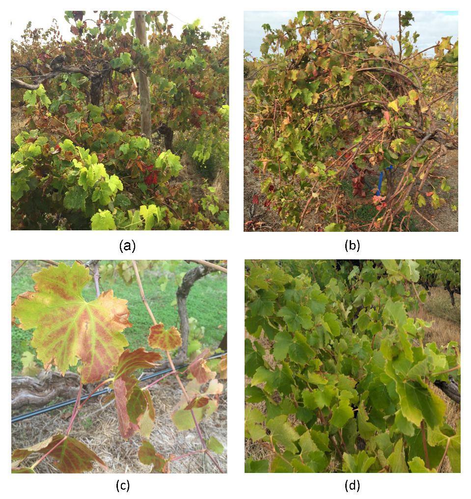 Viruses 15 00774 g001 Viruses 15 00774 g001