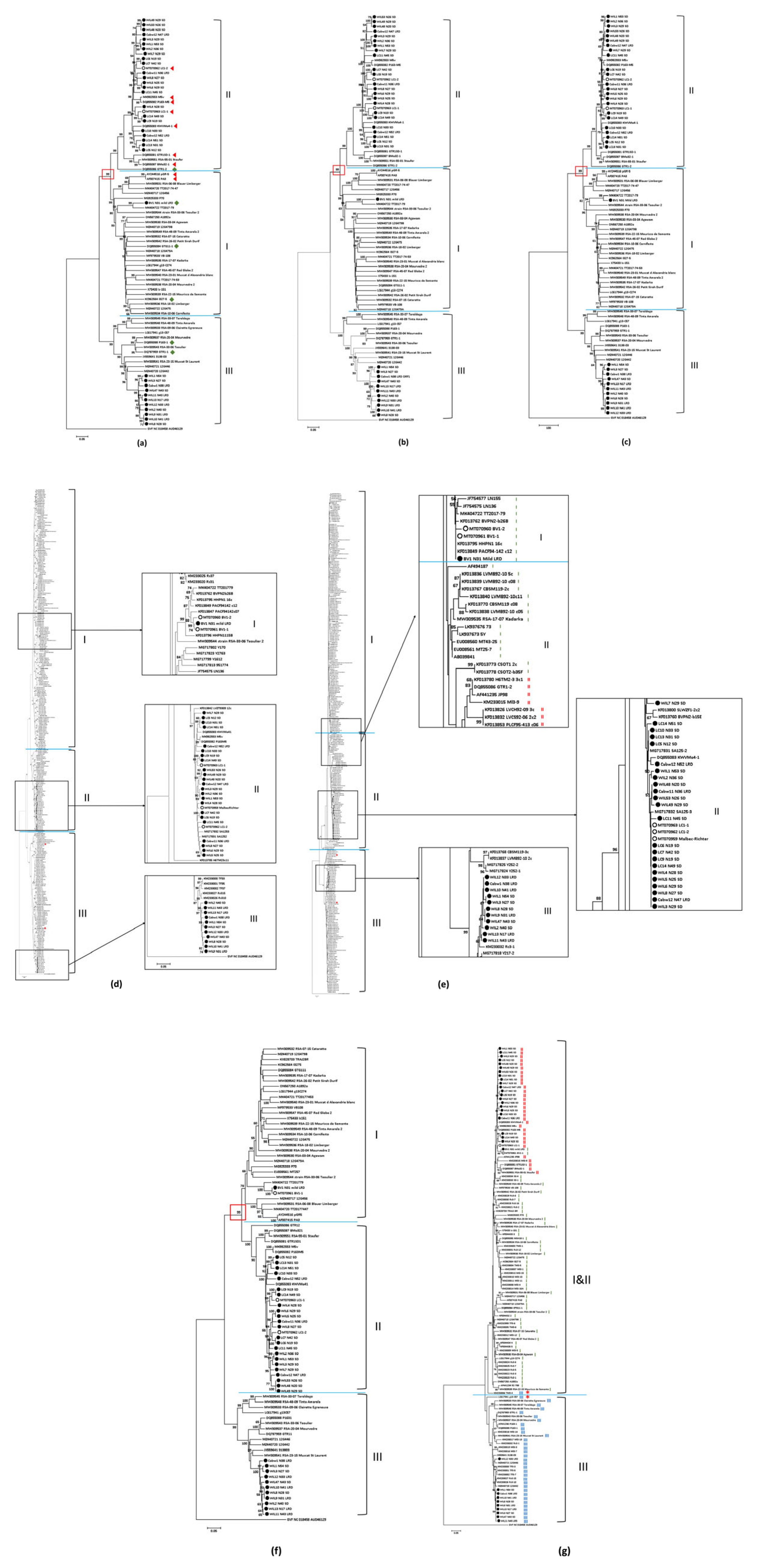 Viruses 15 00774 g002 Viruses 15 00774 g002