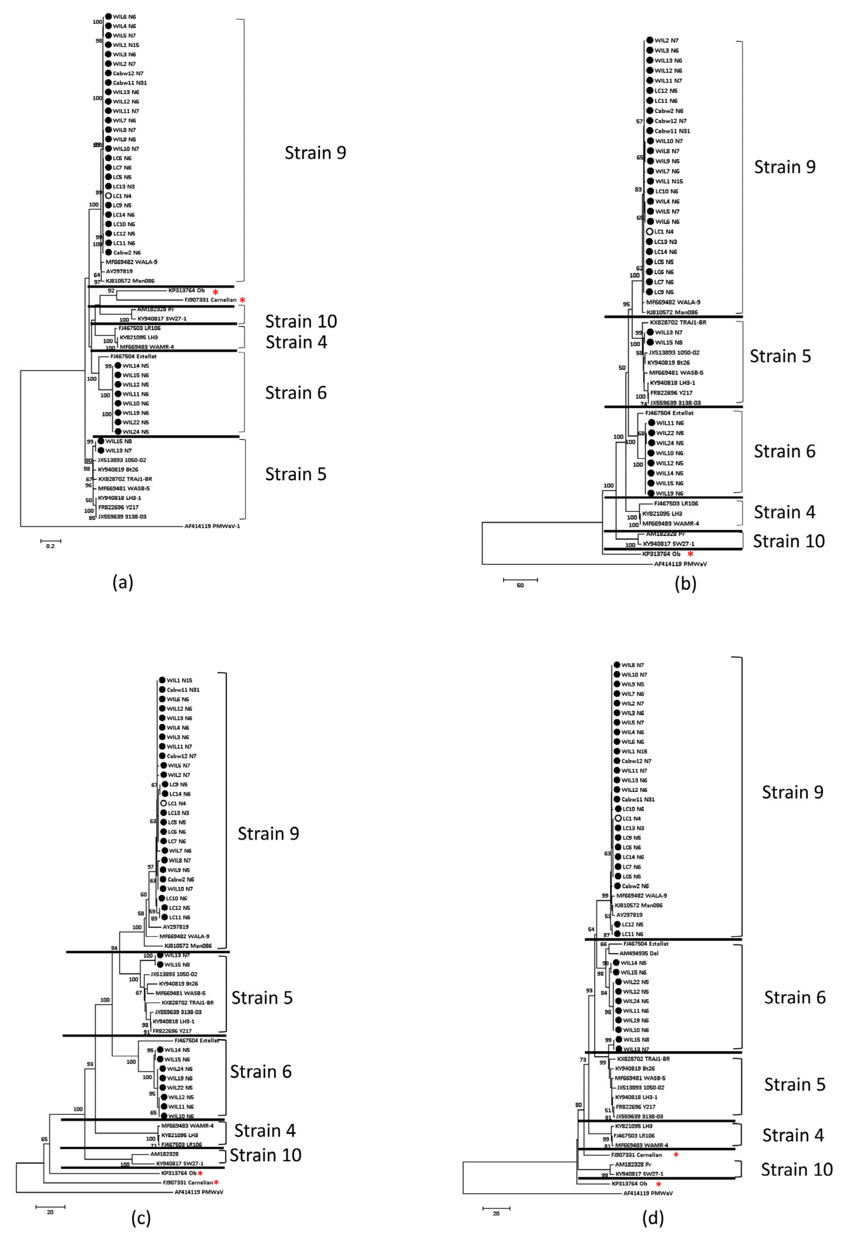 Viruses 15 00774 g005 Viruses 15 00774 g005