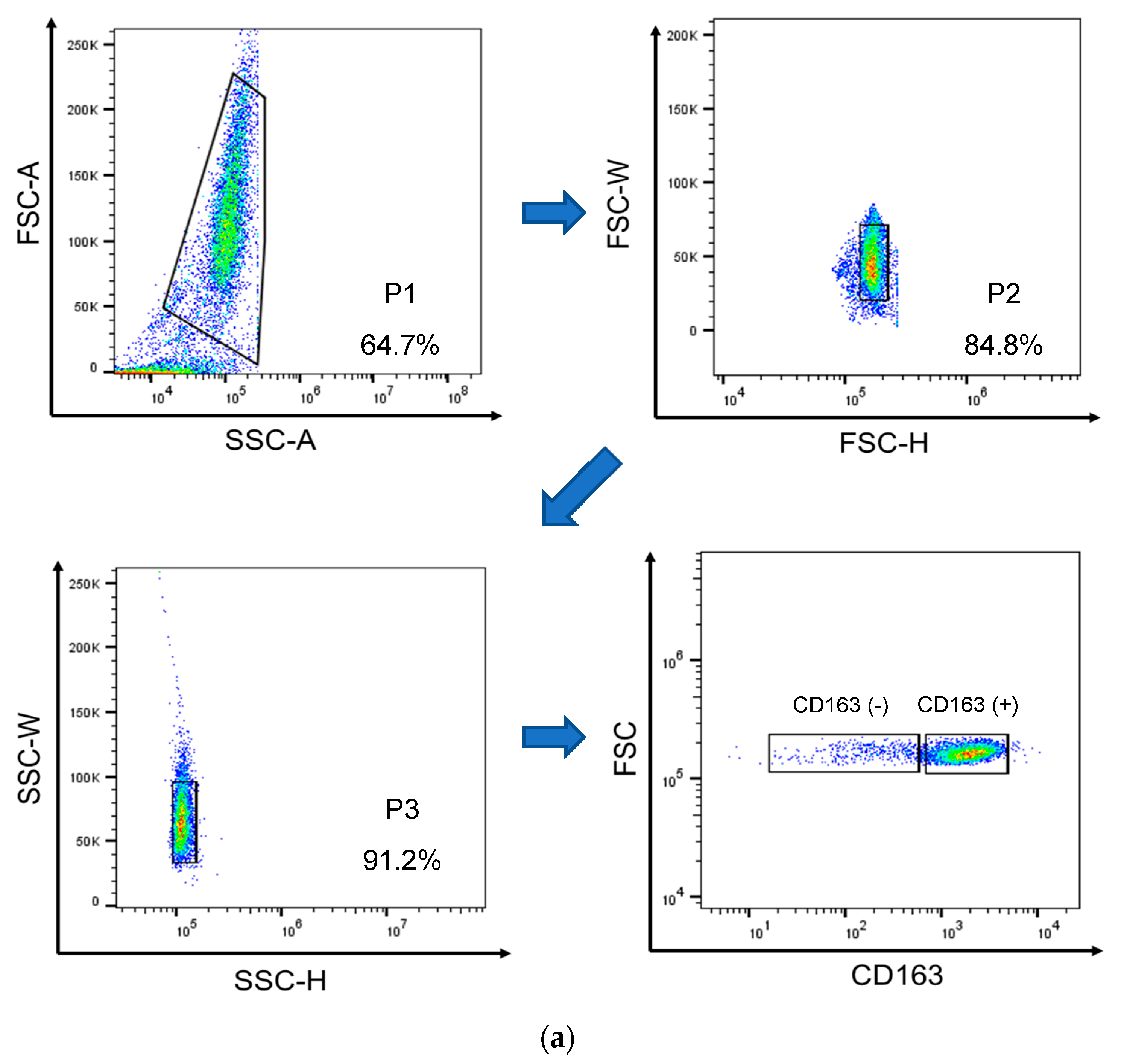 Viruses 15 00775 g001a Viruses 15 00775 g001a