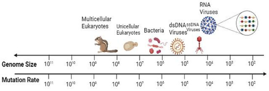 Host Cell Targets for Unconventional Antivirals against RNA Viruses