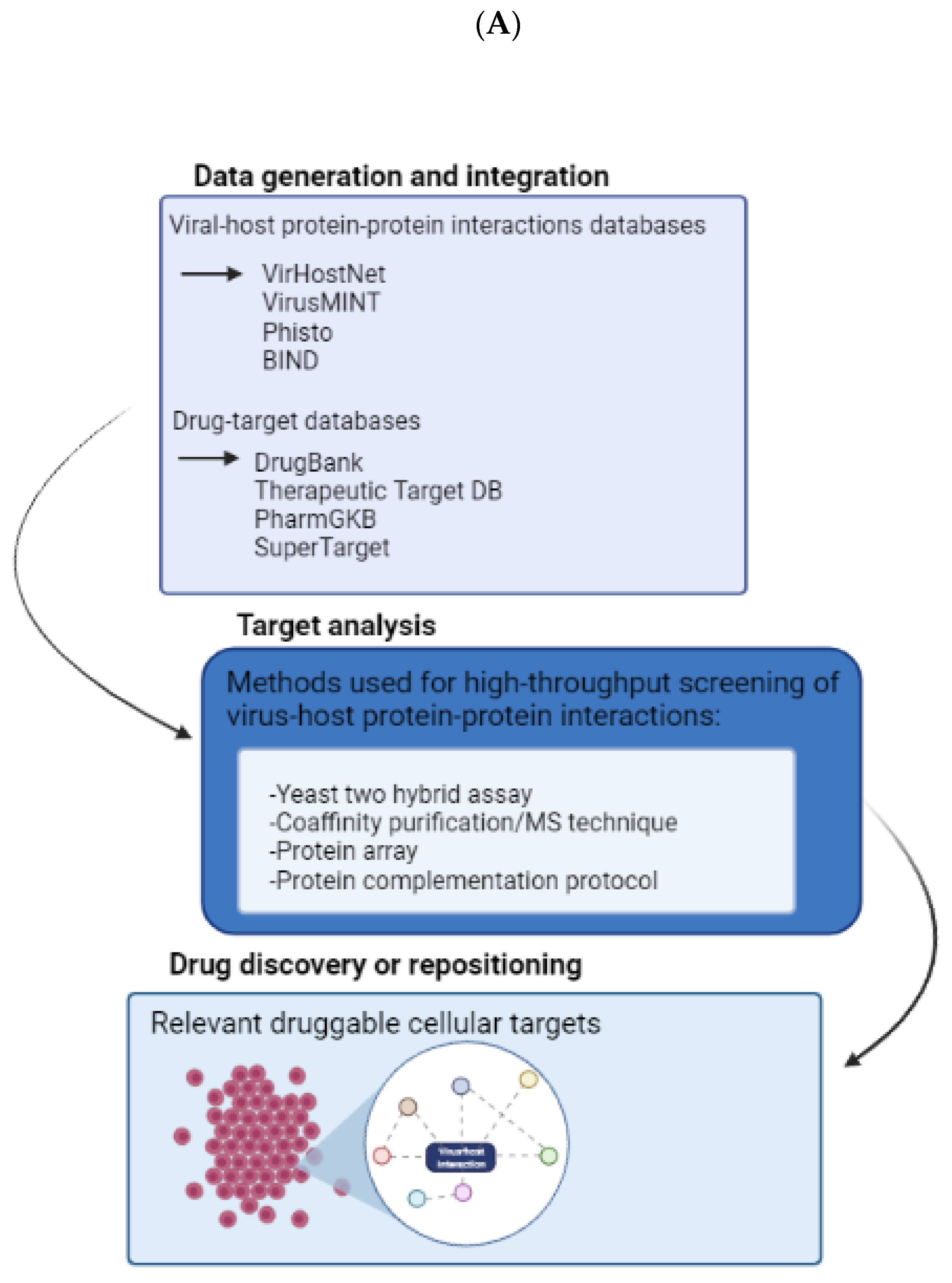 Viruses 15 00776 g005a Viruses 15 00776 g005a