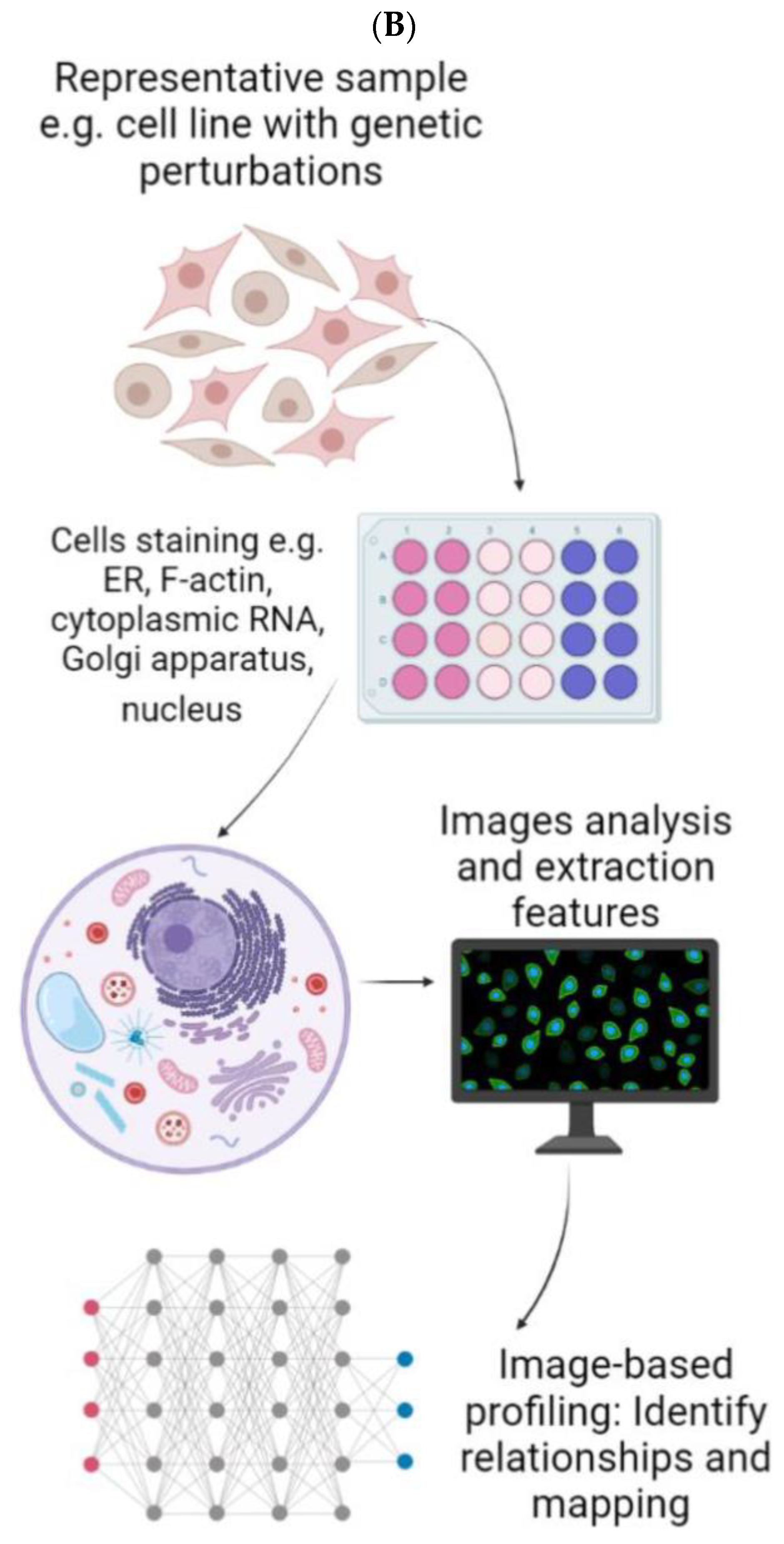 Viruses 15 00776 g005b Viruses 15 00776 g005b