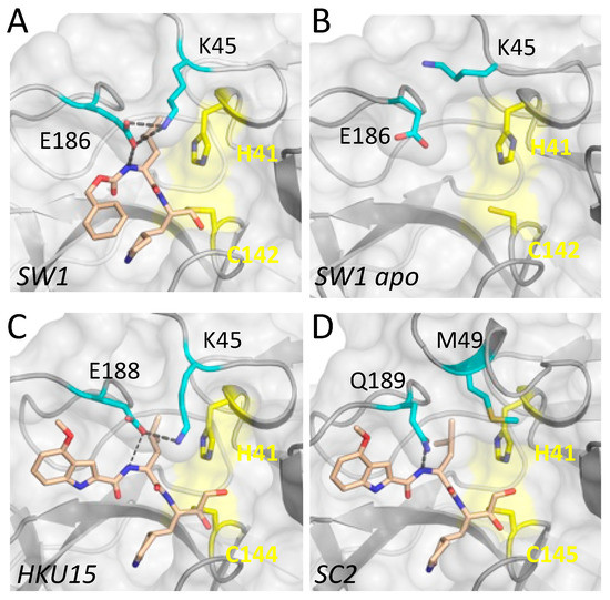 Crystal Structures of Inhibitor-Bound Main Protease from Delta
