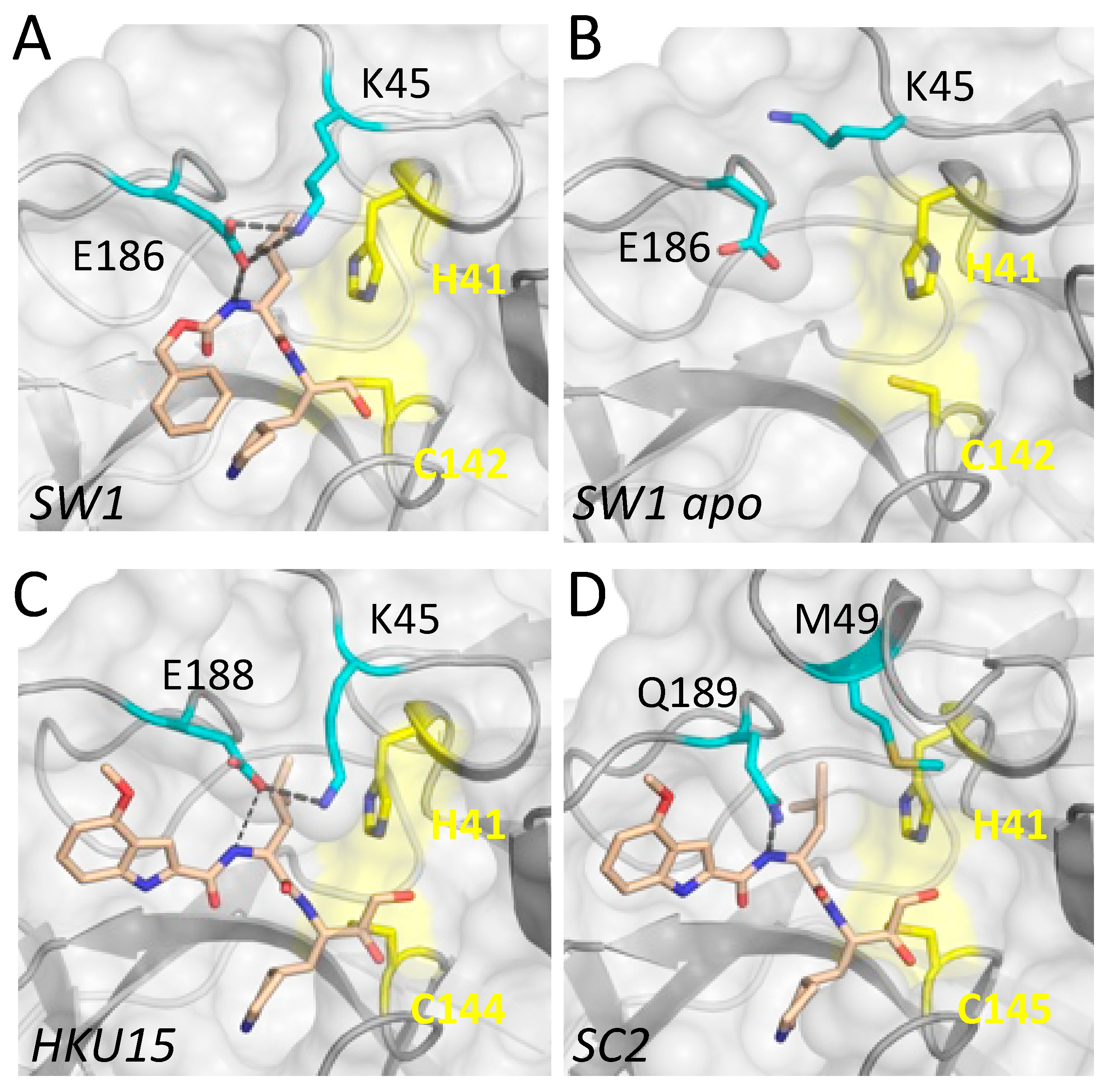 Crystal Structures of Inhibitor-Bound Main Protease from