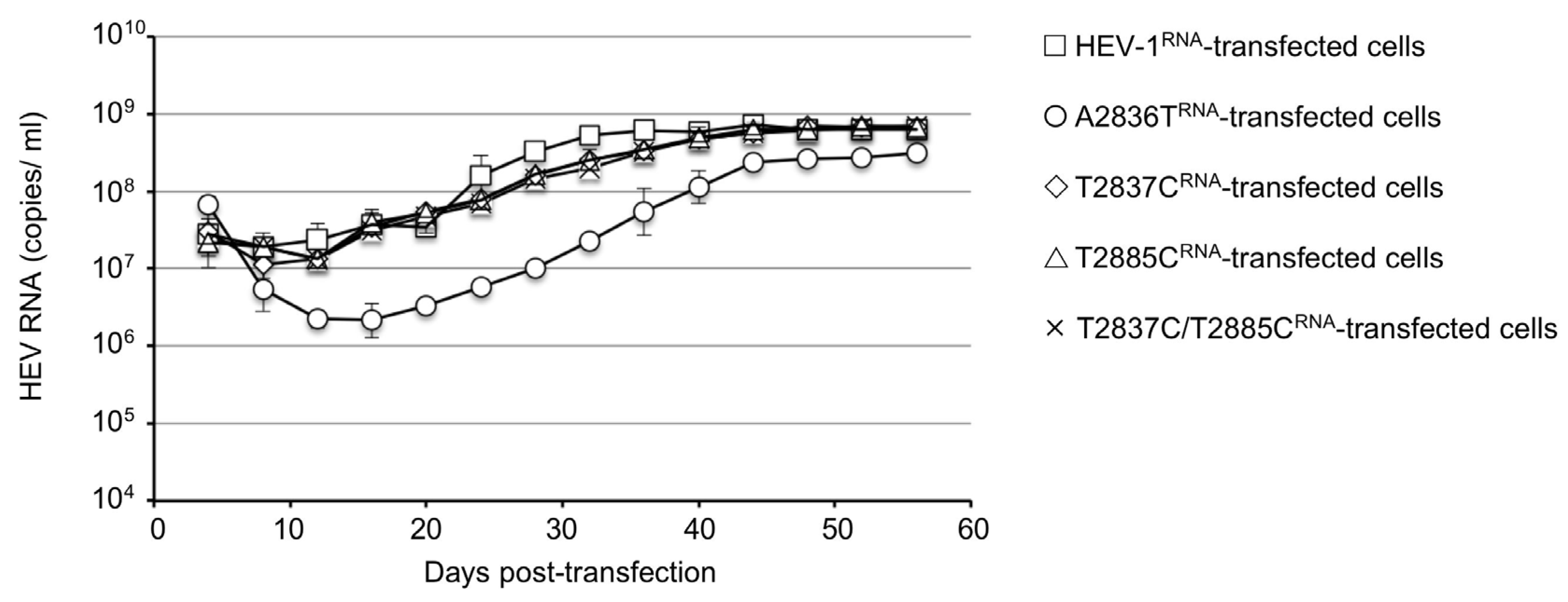 Viruses 15 00784 g002