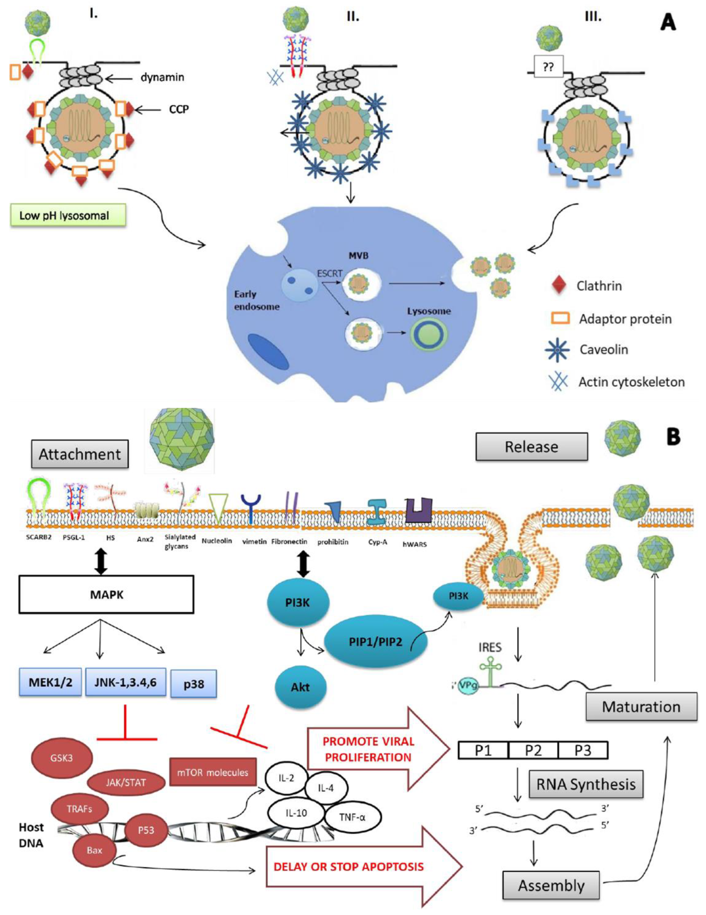 Viruses 15 00785 g001 Viruses 15 00785 g001