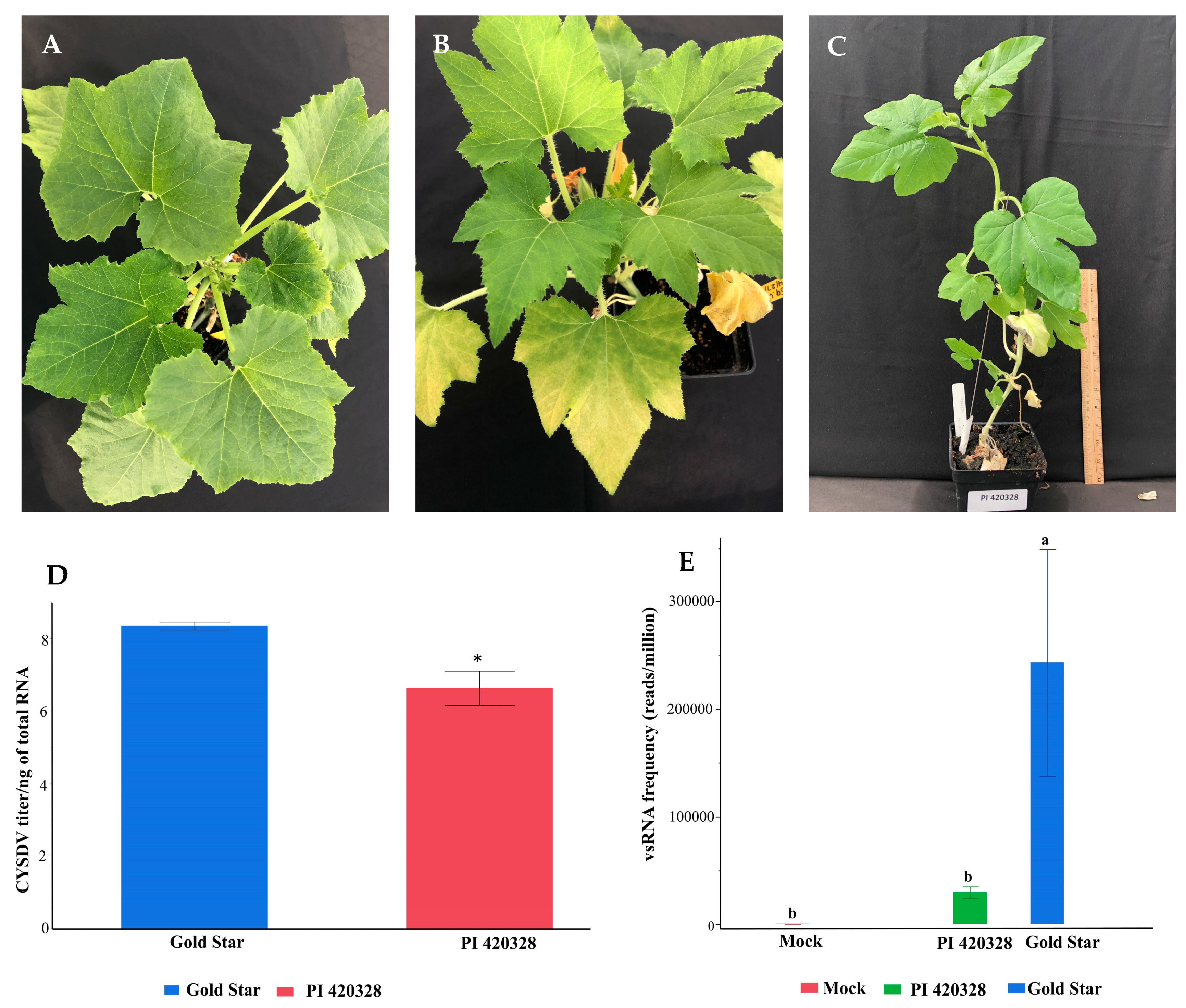 Viruses 15 00788 g001 Viruses 15 00788 g001