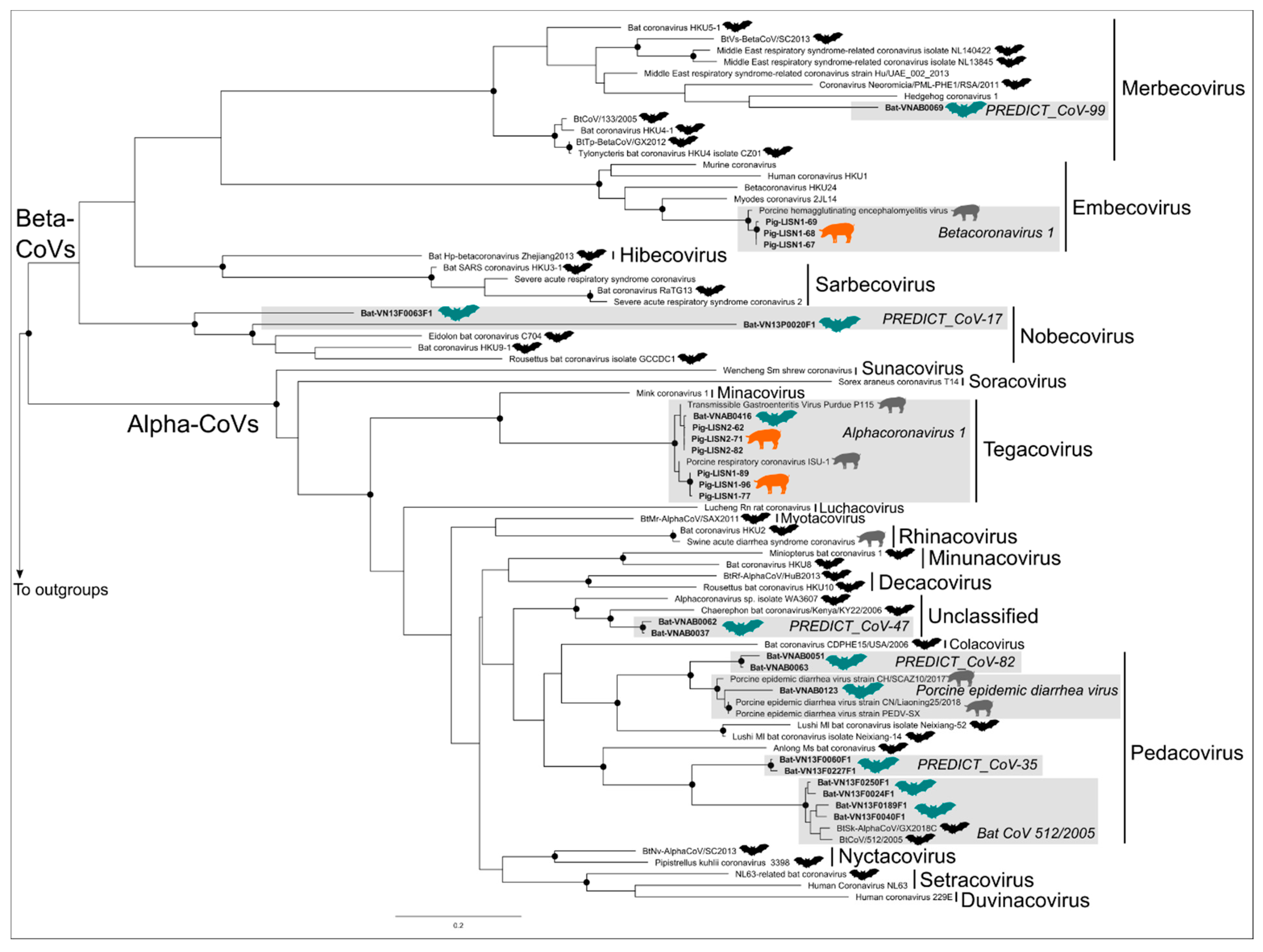 Viruses 15 00790 g002