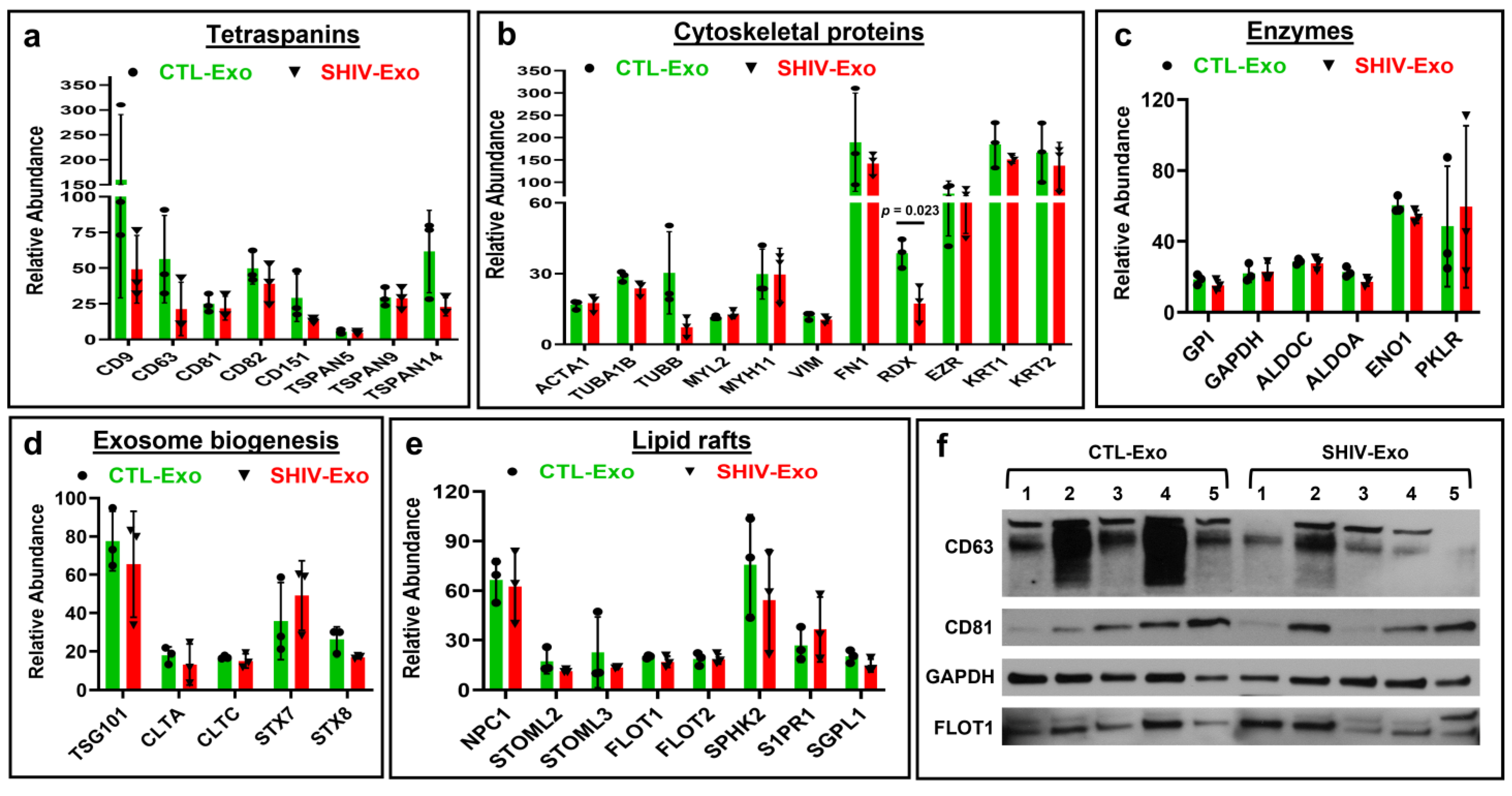 Viruses 15 00794 g003
