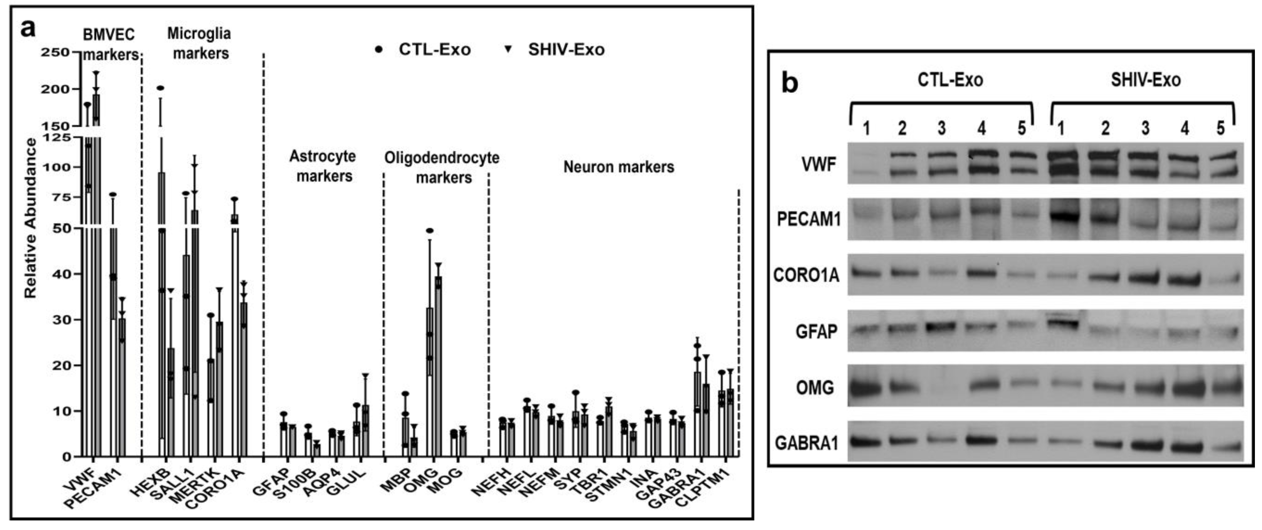 Viruses 15 00794 g004