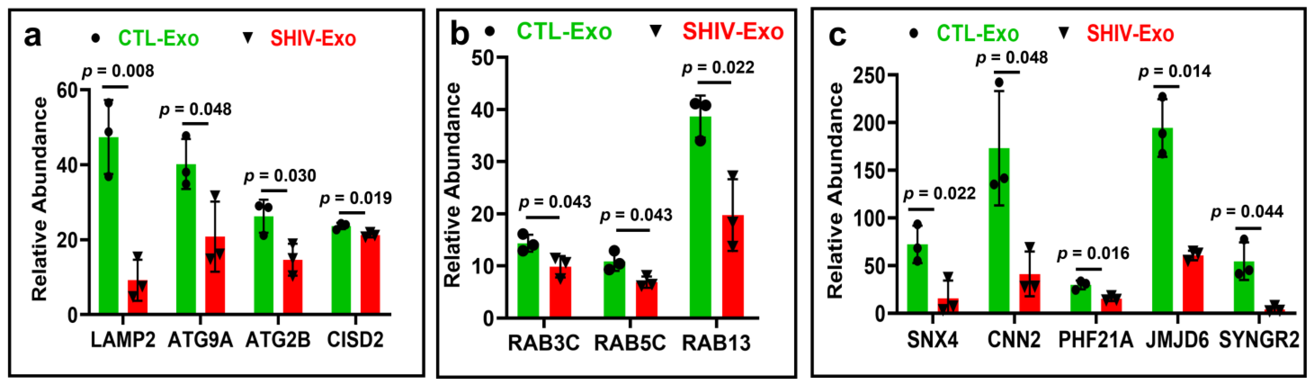 Viruses 15 00794 g007