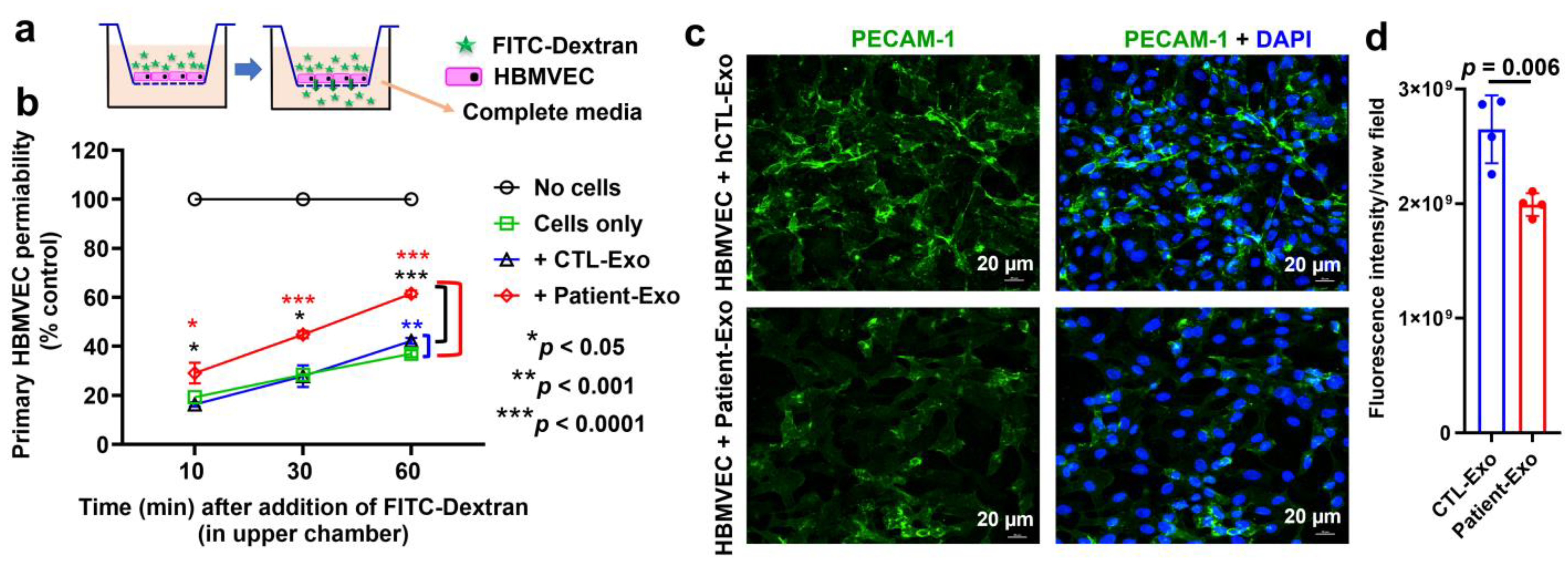 Viruses 15 00794 g009