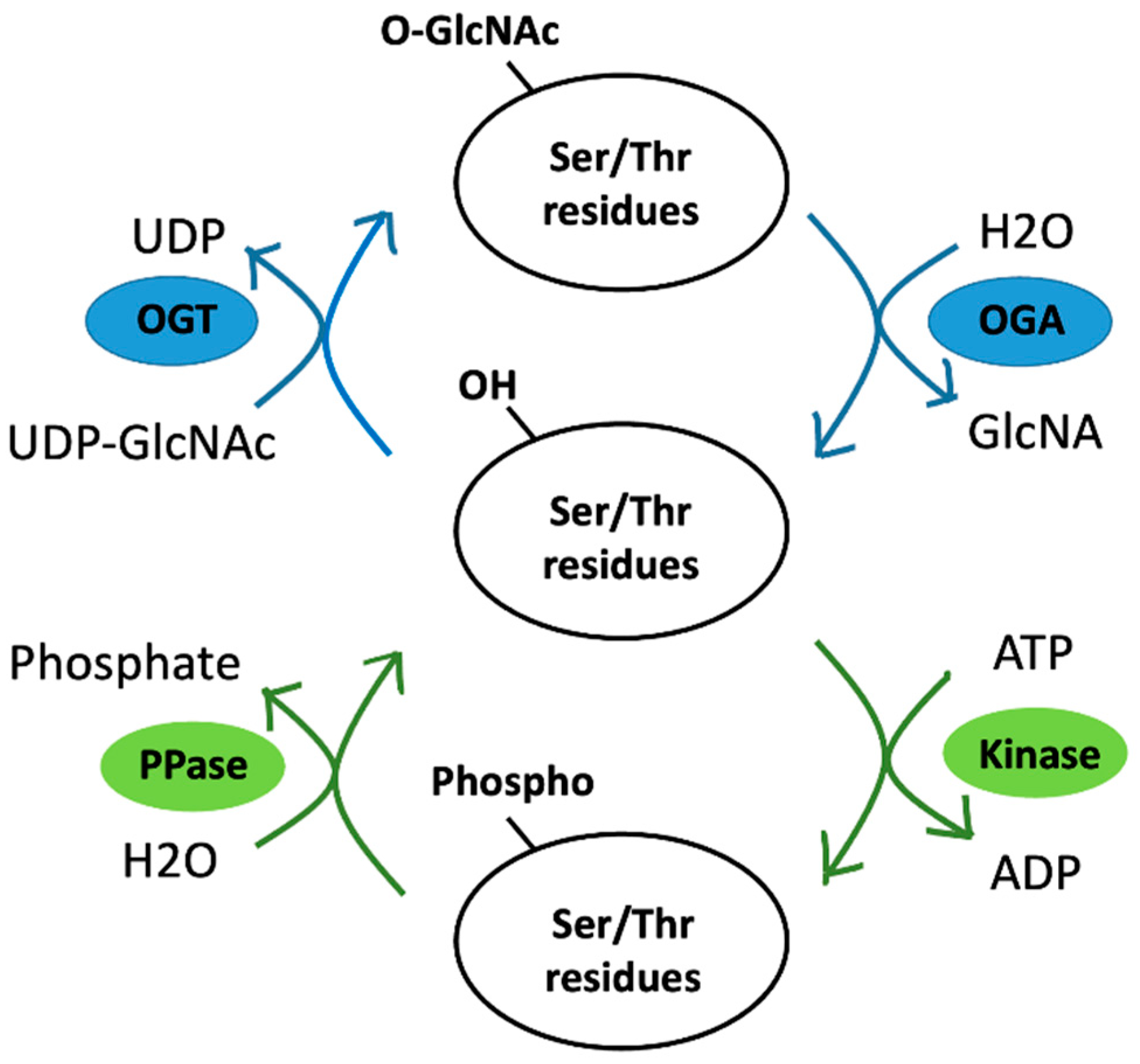 Viruses 15 00798 g003 Viruses 15 00798 g003