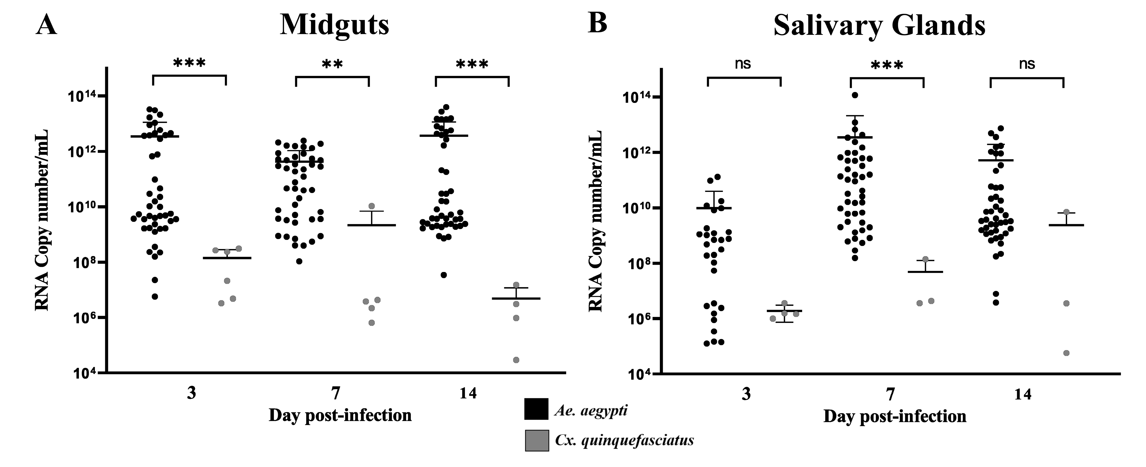 Viruses 15 00799 g003 Viruses 15 00799 g003